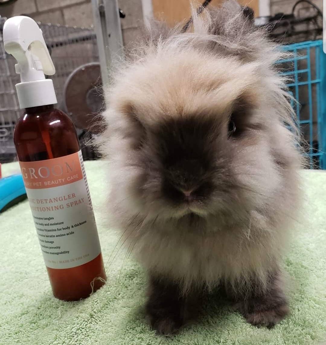 iGroom Magic Detangler Conditioning Spray 8oz