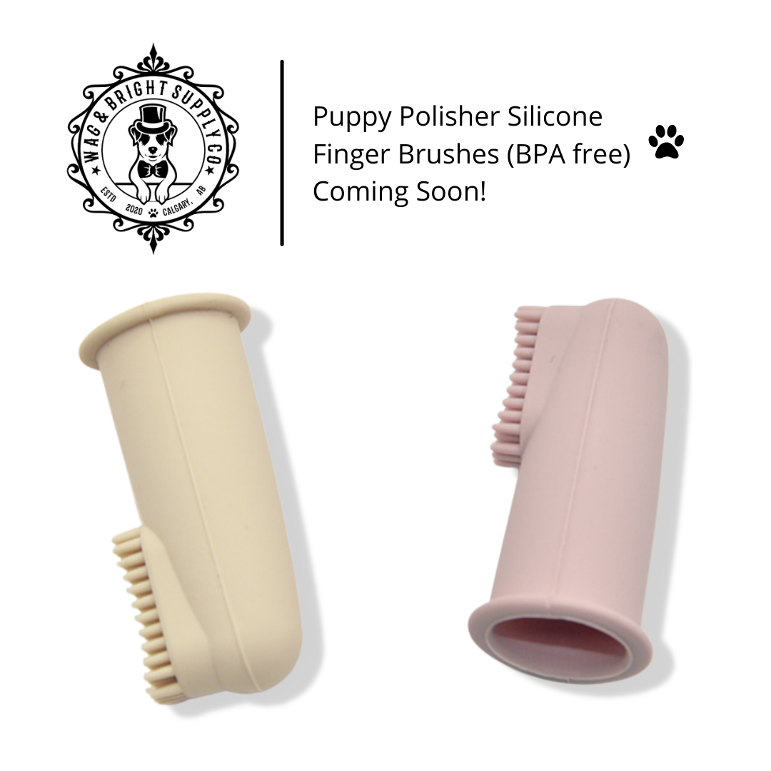 Wag & Bright Puppy Polisher Finger Brush