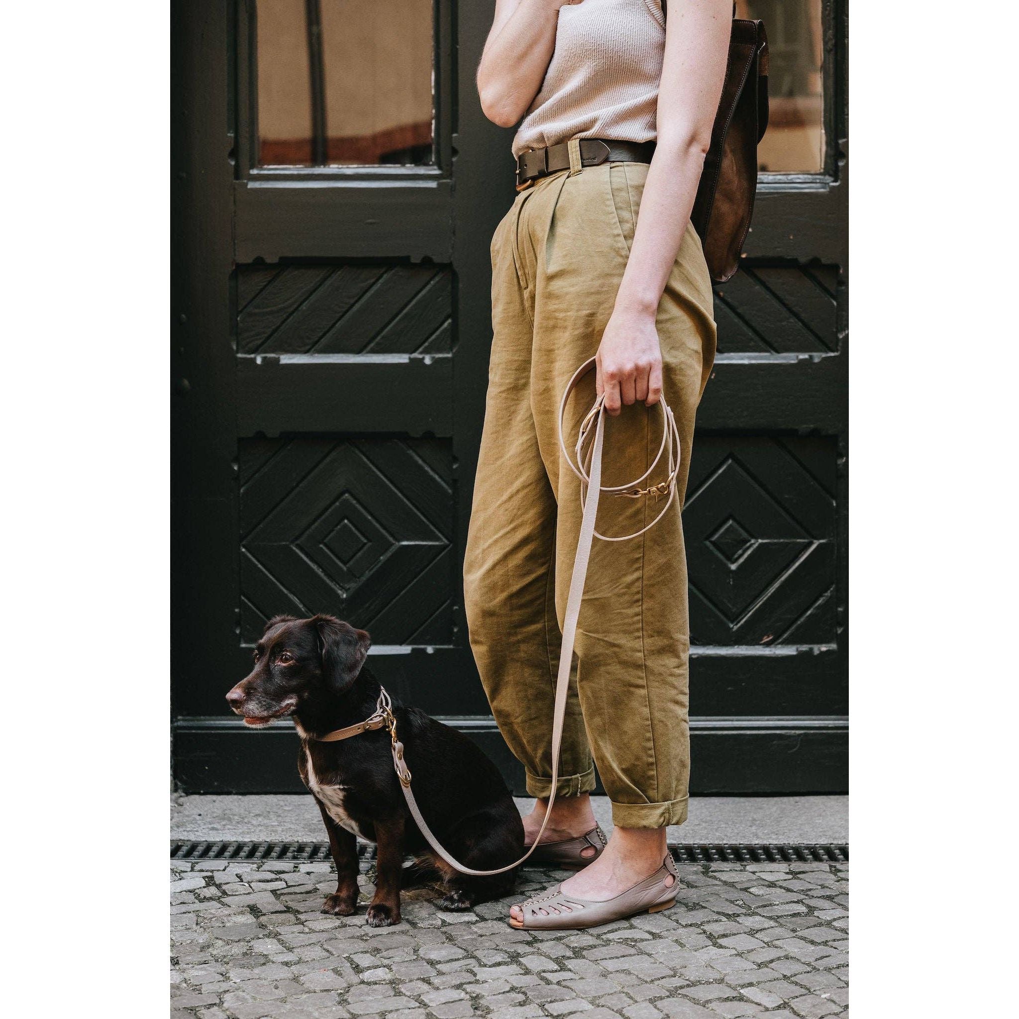 BAND&ROLL LIGHTWEIGHT LASSO LEATHER LEASH