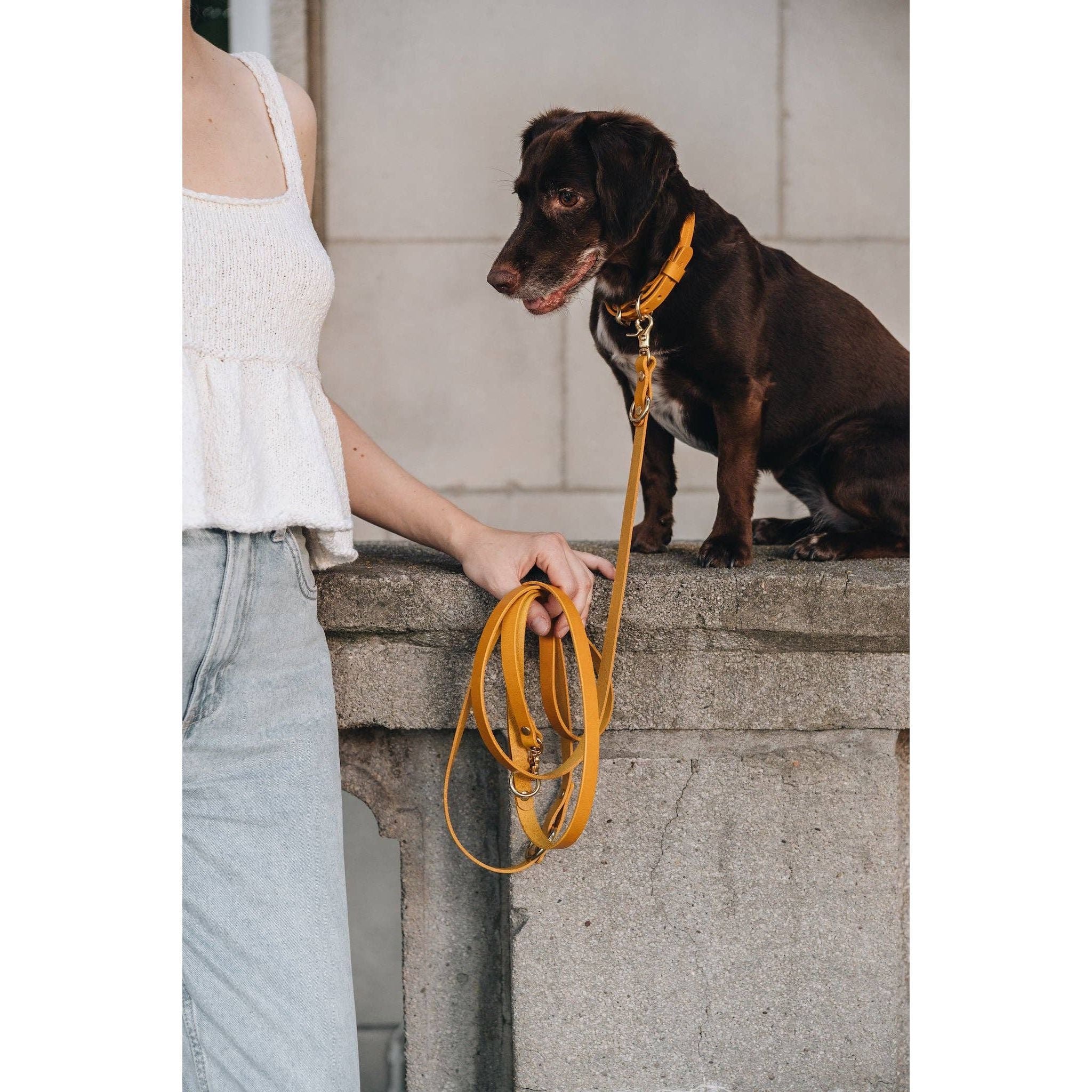 BAND&ROLL LIGHTWEIGHT LASSO LEATHER LEASH