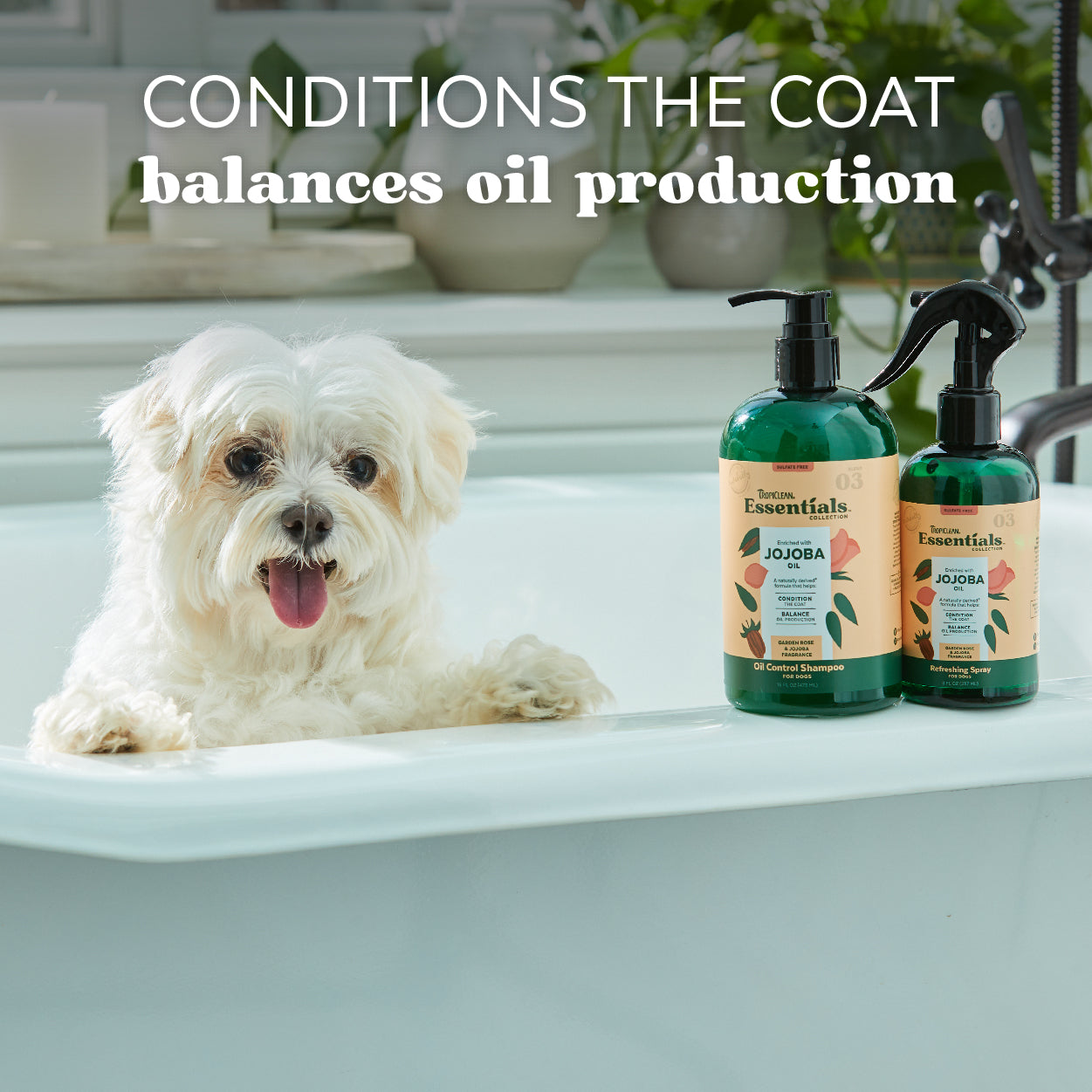 Tropiclean Essentials Jojoba Oil Dog Shampoo