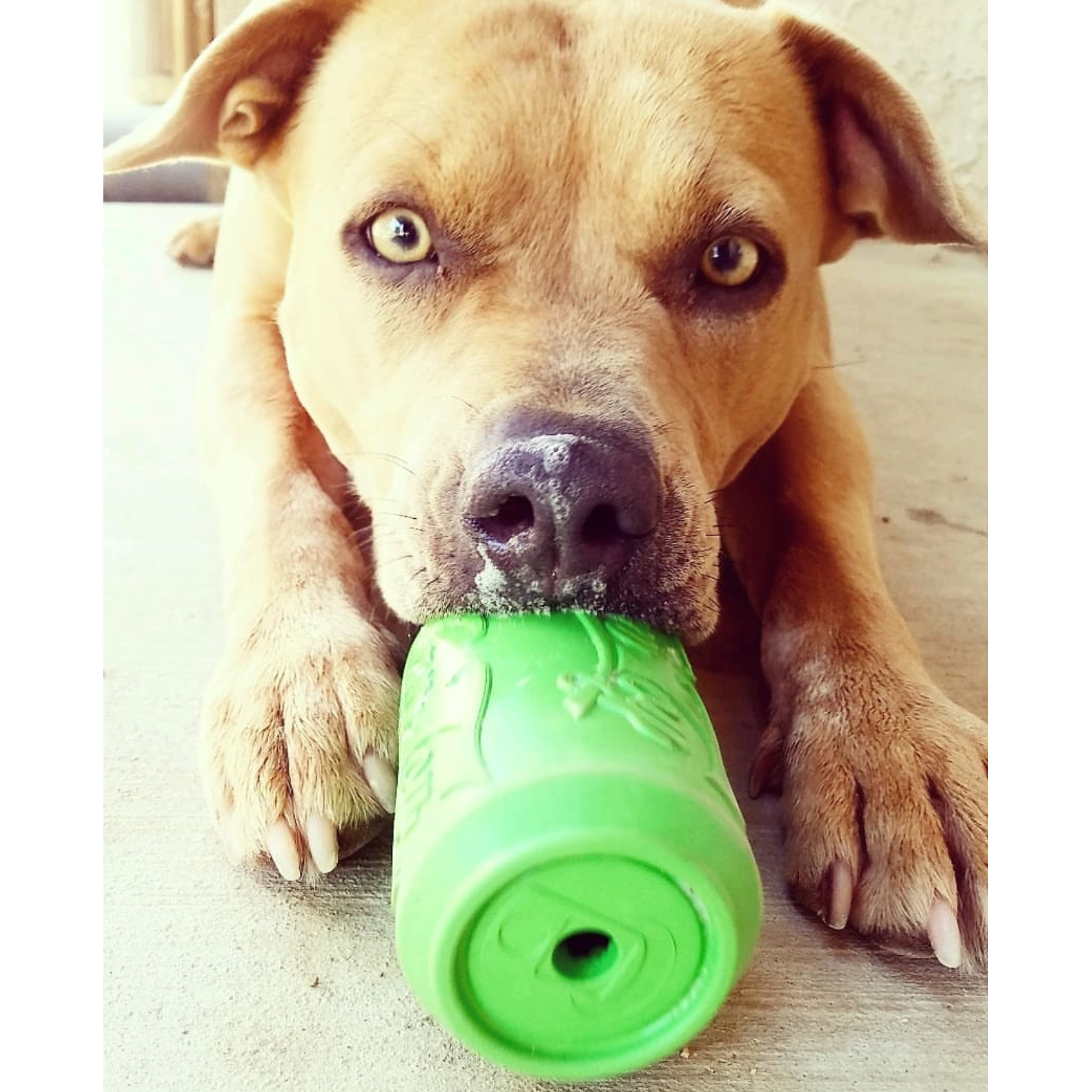 SodaPup Can Toy Durable Rubber Chew Toy & Treat Dispenser