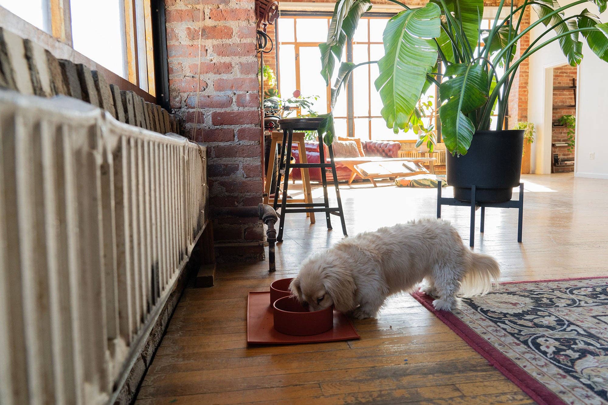 Houndstone Silicone Dog Bowl - Slate Grey