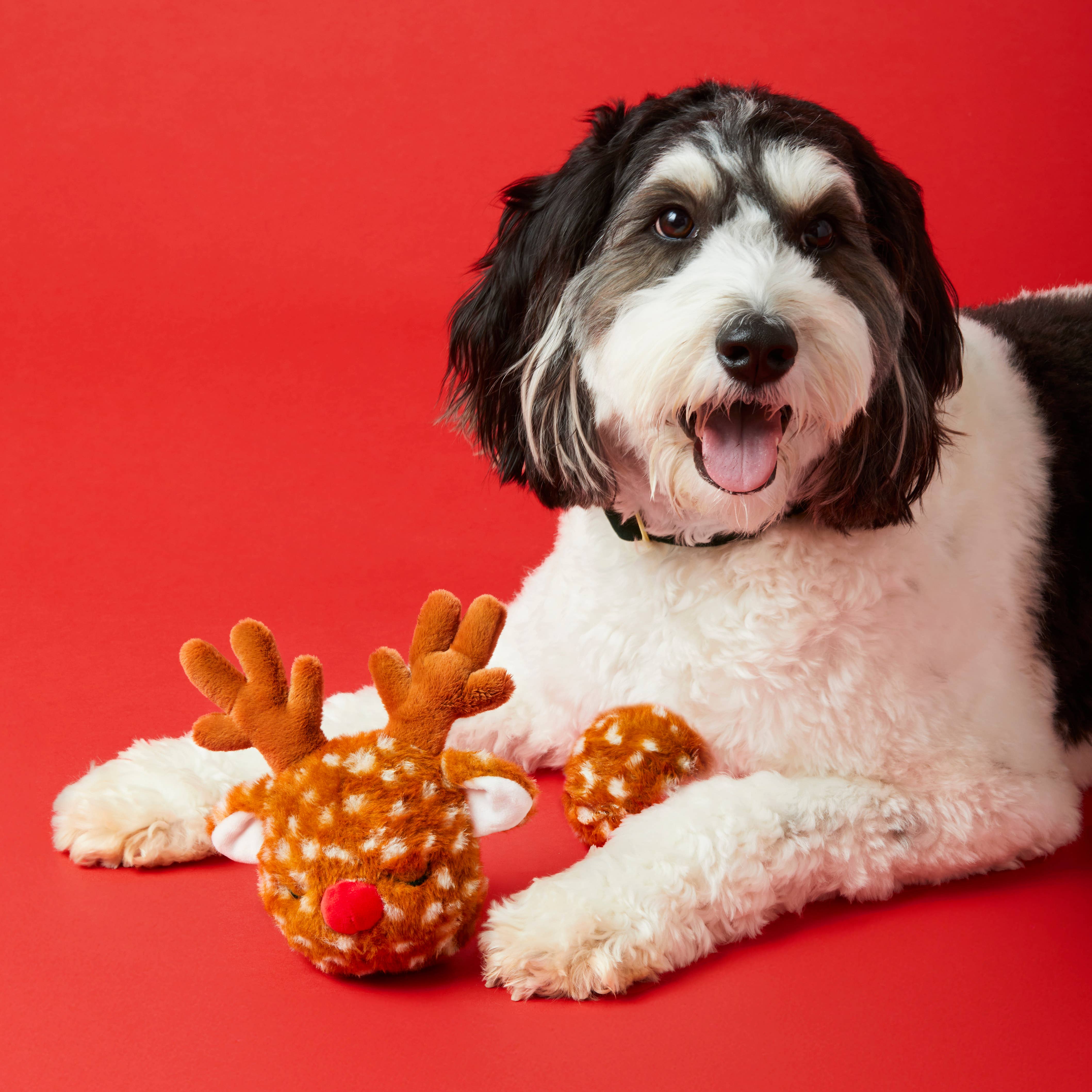 Reindeer 2-in-1 Bounce Dog Toy