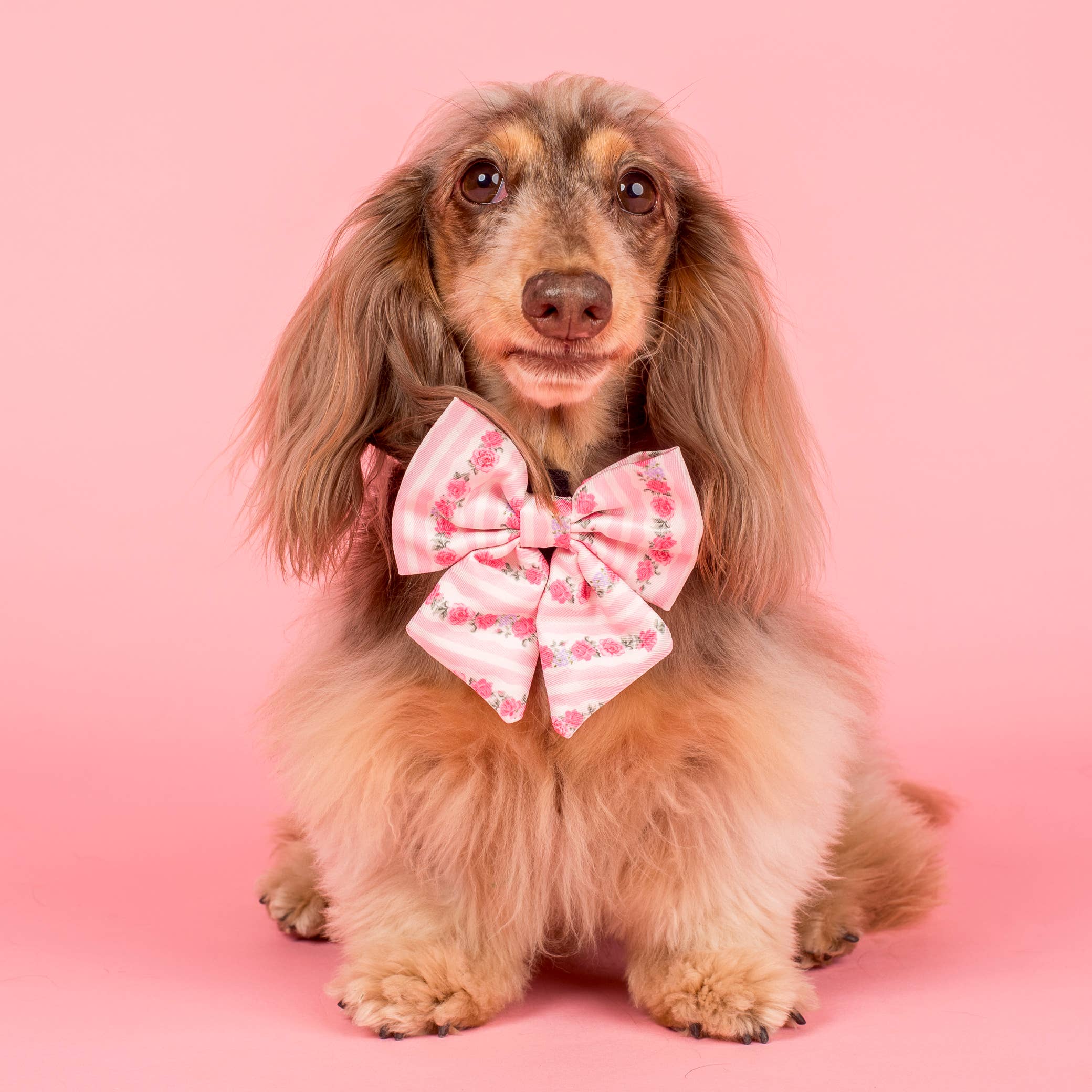Pablo & Co Vintage Rose Sailor Bow