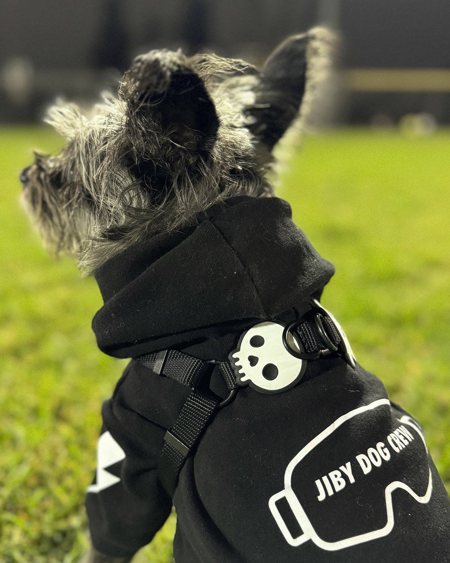 Skull Dog Jiby