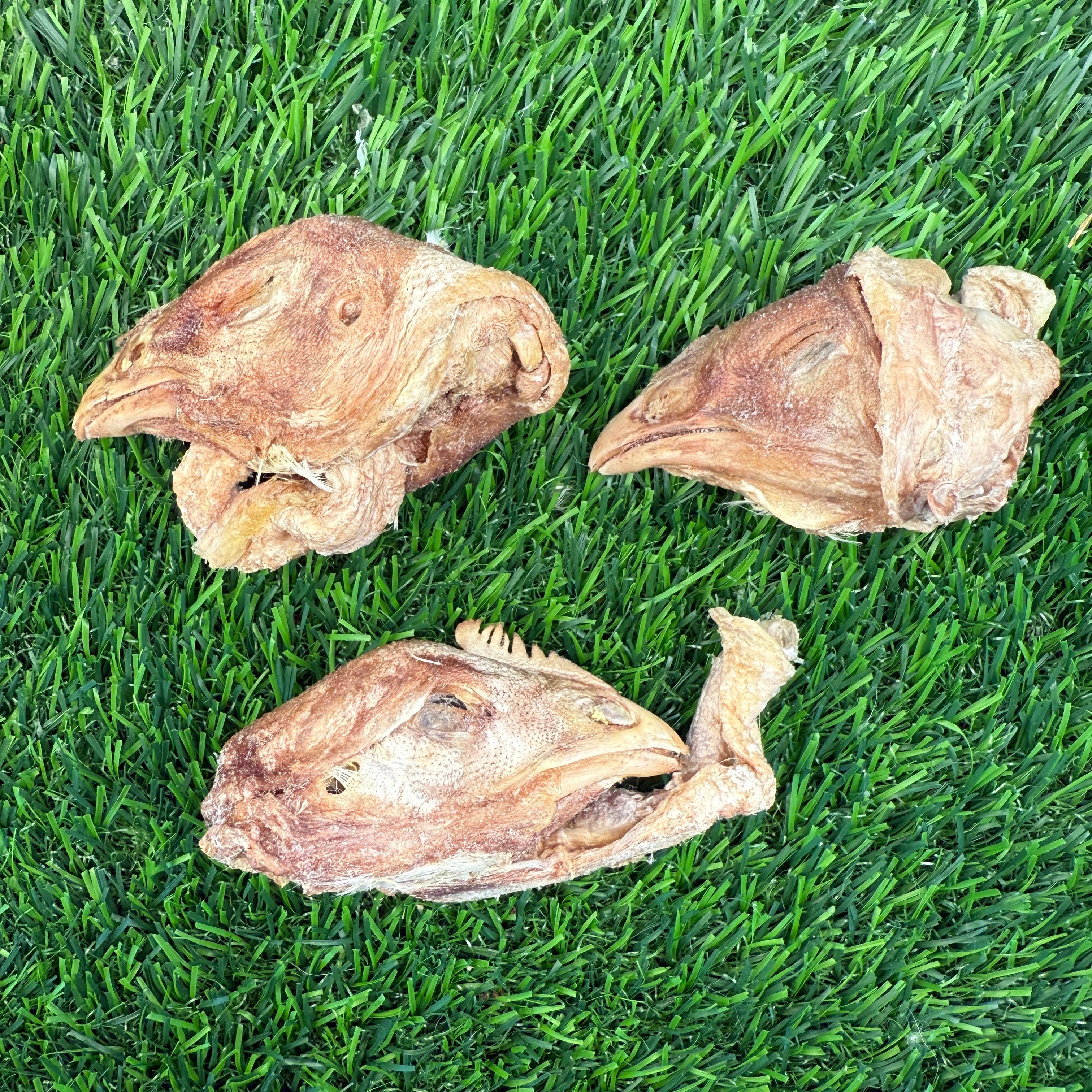 Golden Nibbles Chicken Head - Bag of 6