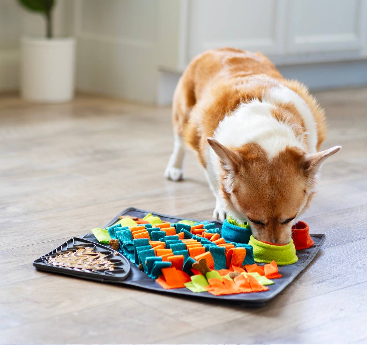 Messy Mutts Square Forage/Snuffle Mat 16" with Suction