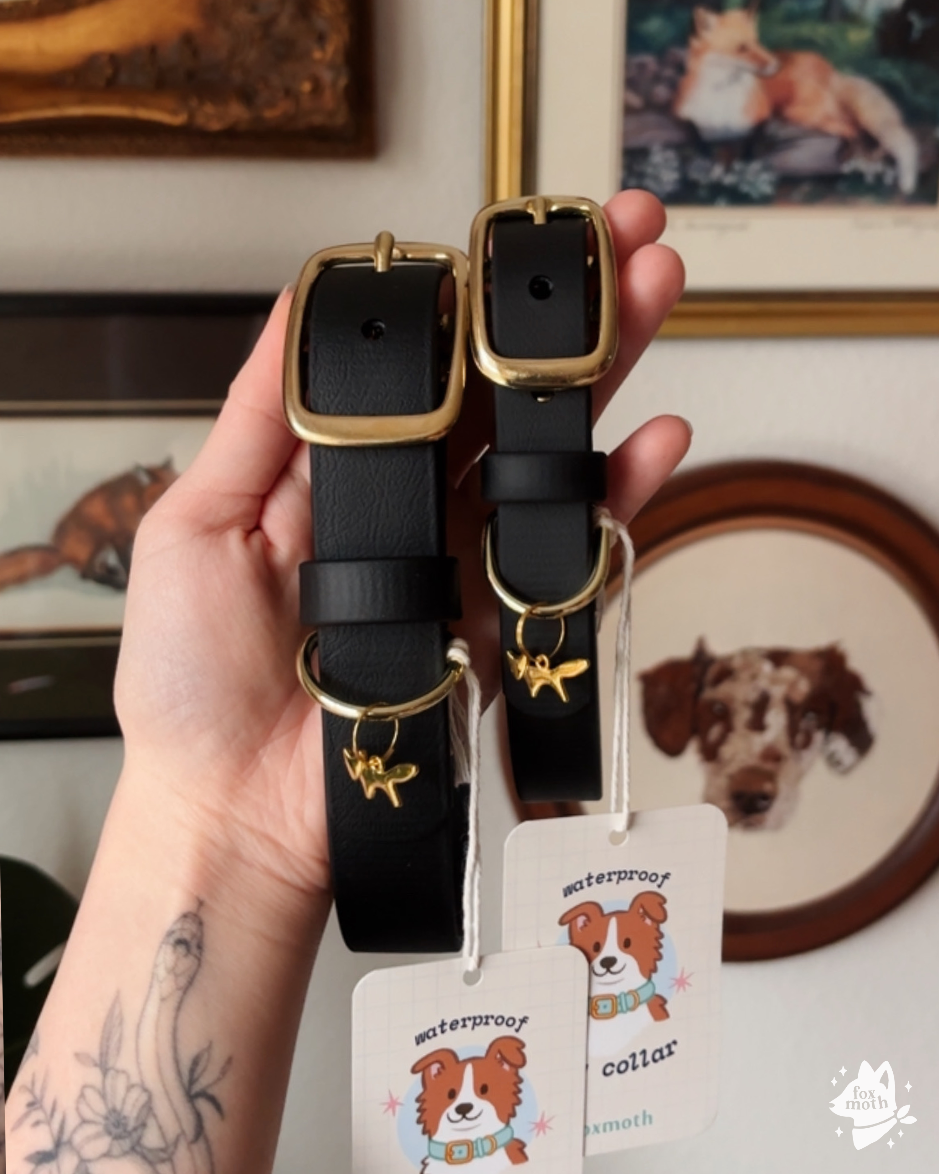 Foxmoth Waterproof Biothane Collar