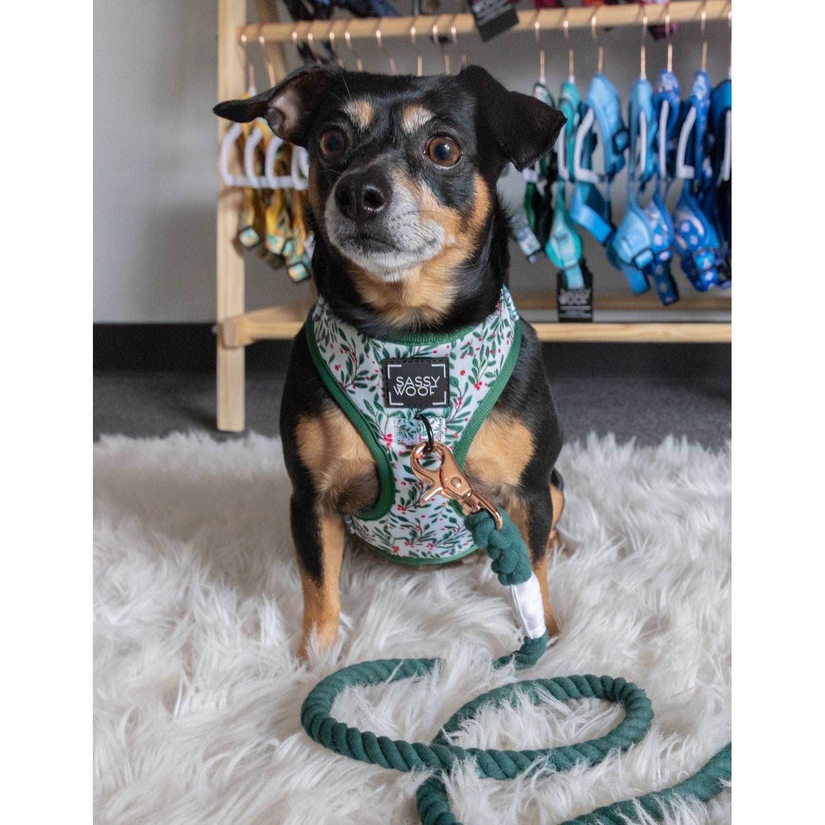 SASSY WOOF Rope Leash - Emerald