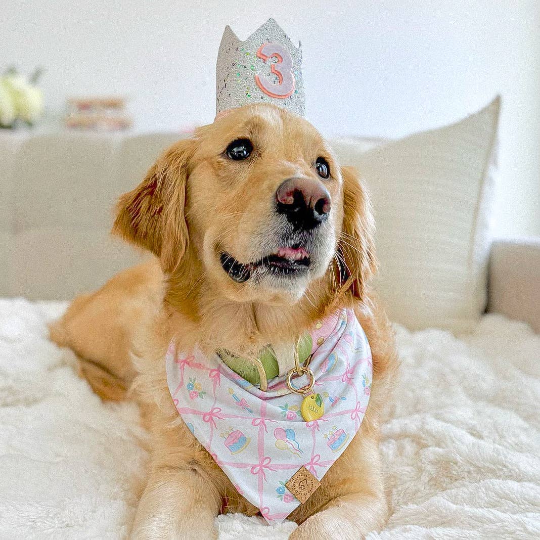 Pawsome Tails Pink Celebration Bandana