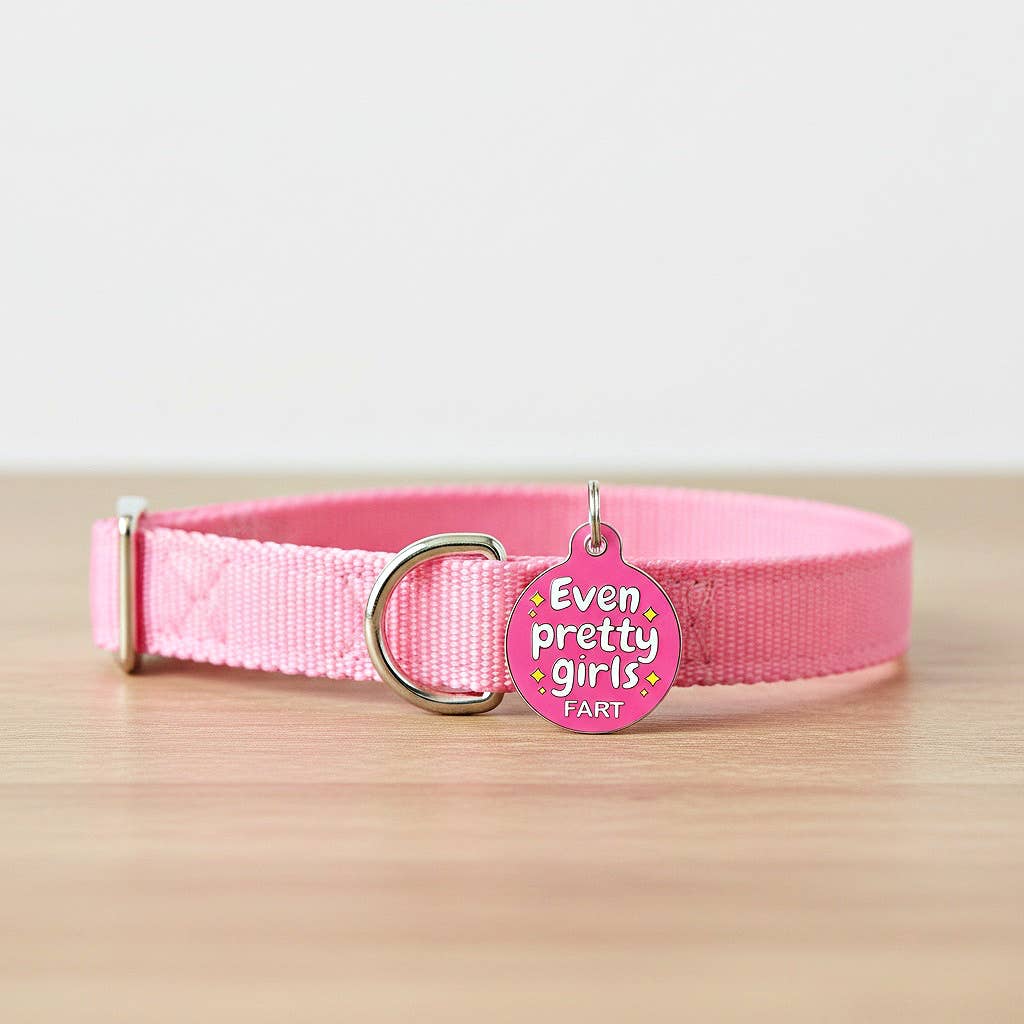 Bad Tags Even Pretty Girls Fart