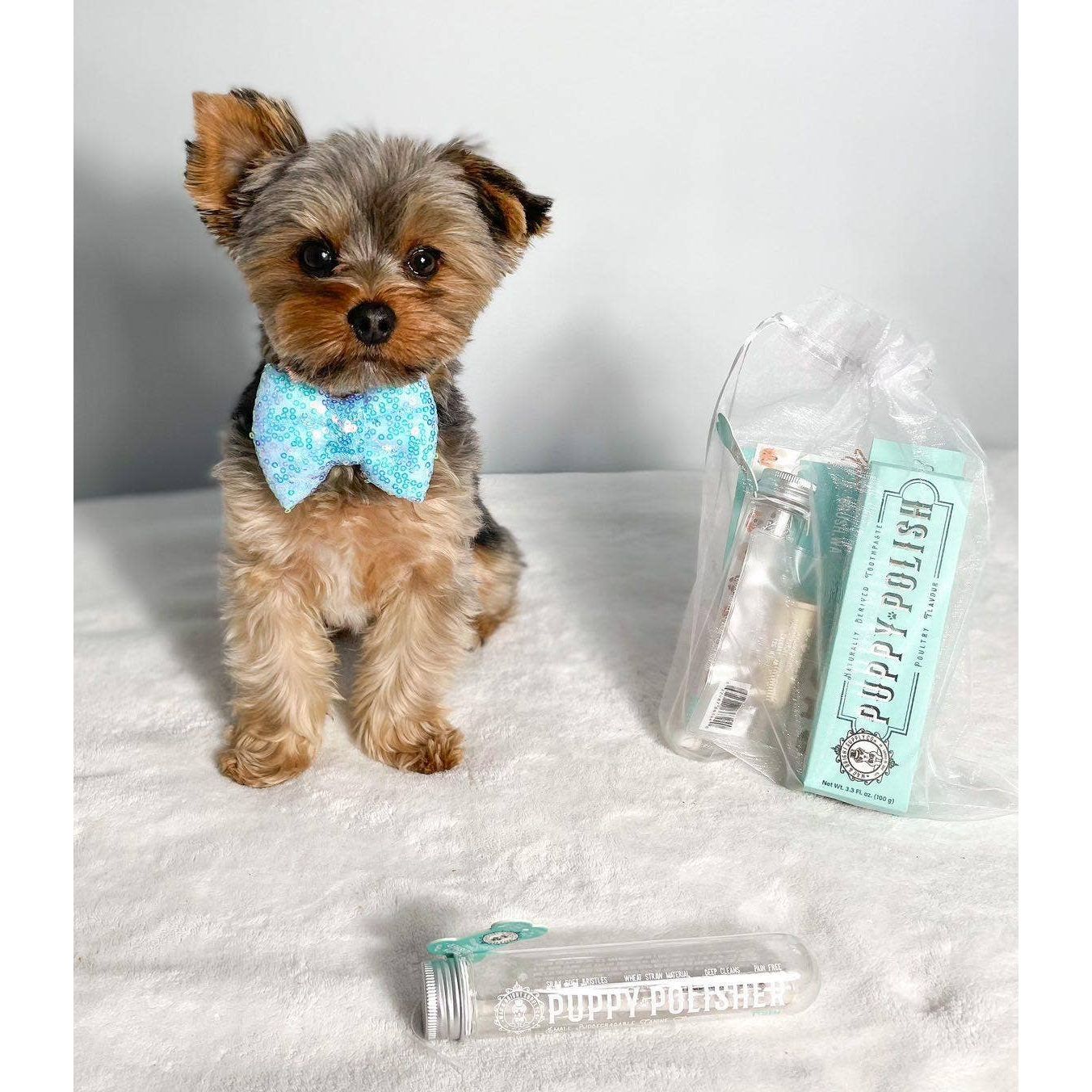 Wag & Bright Puppy Polish Toothpaste