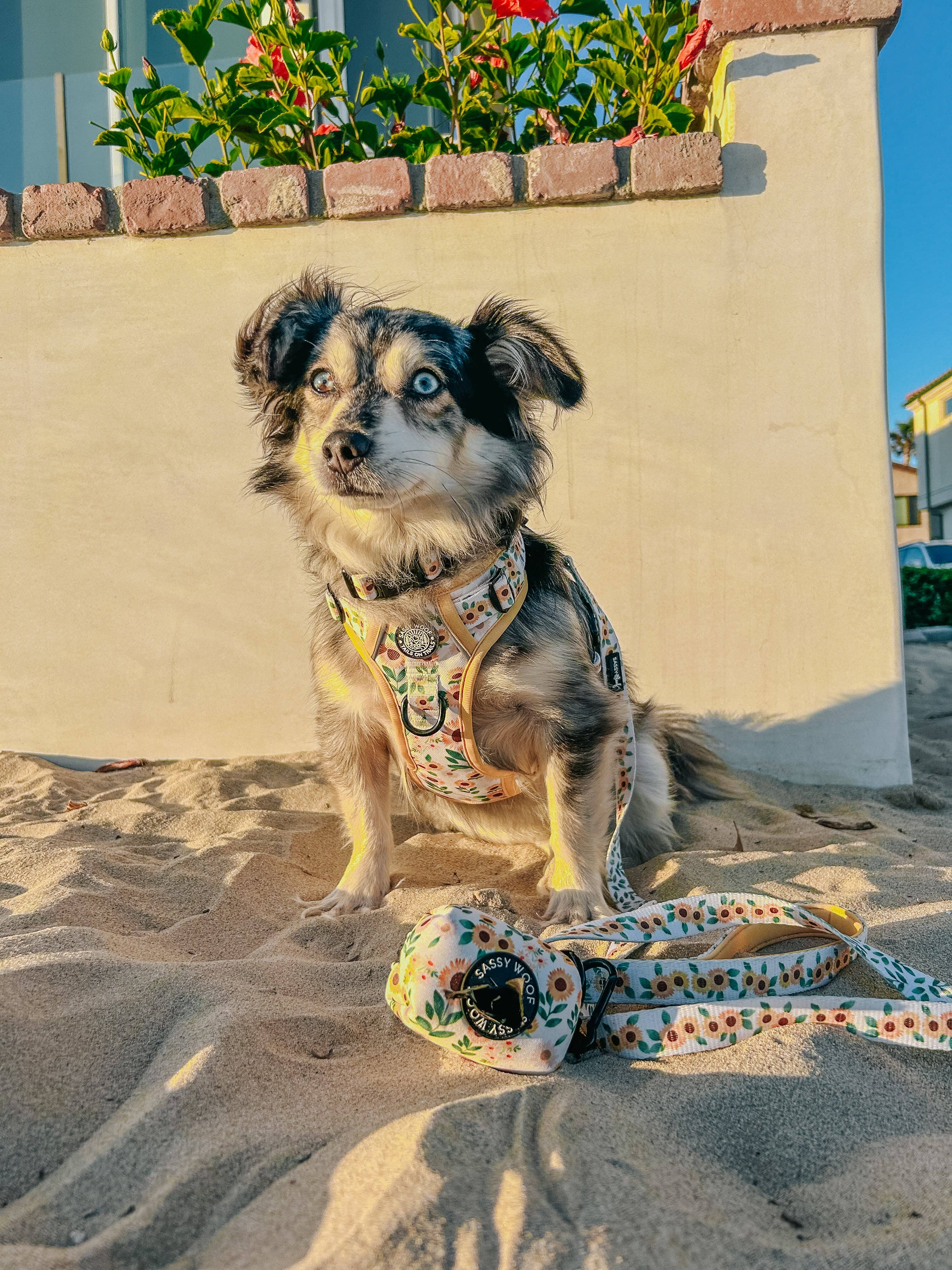 Sassy Woof Waste Bag Holder - Sunflower Dreams