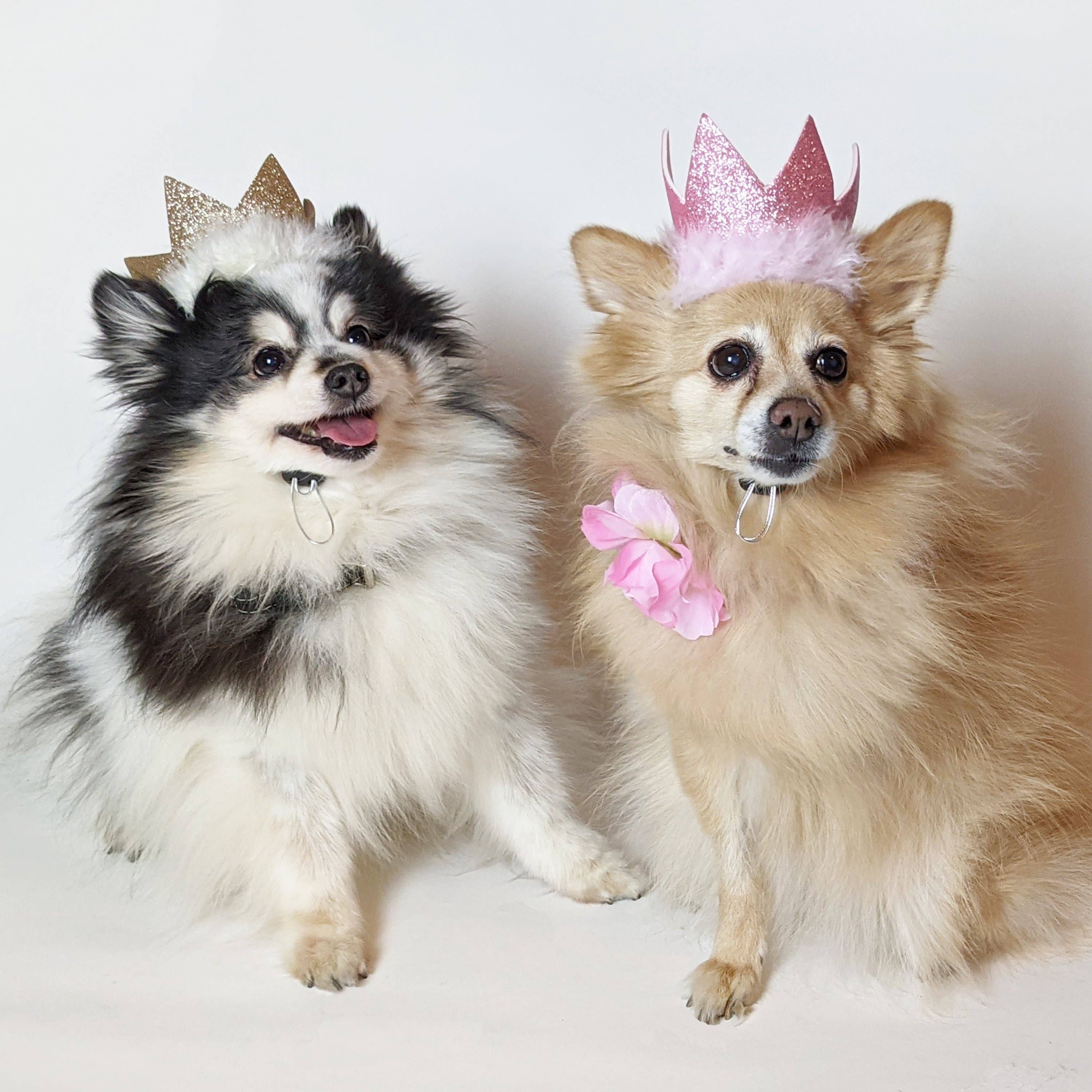 Party Crown Pink with SnugFit®