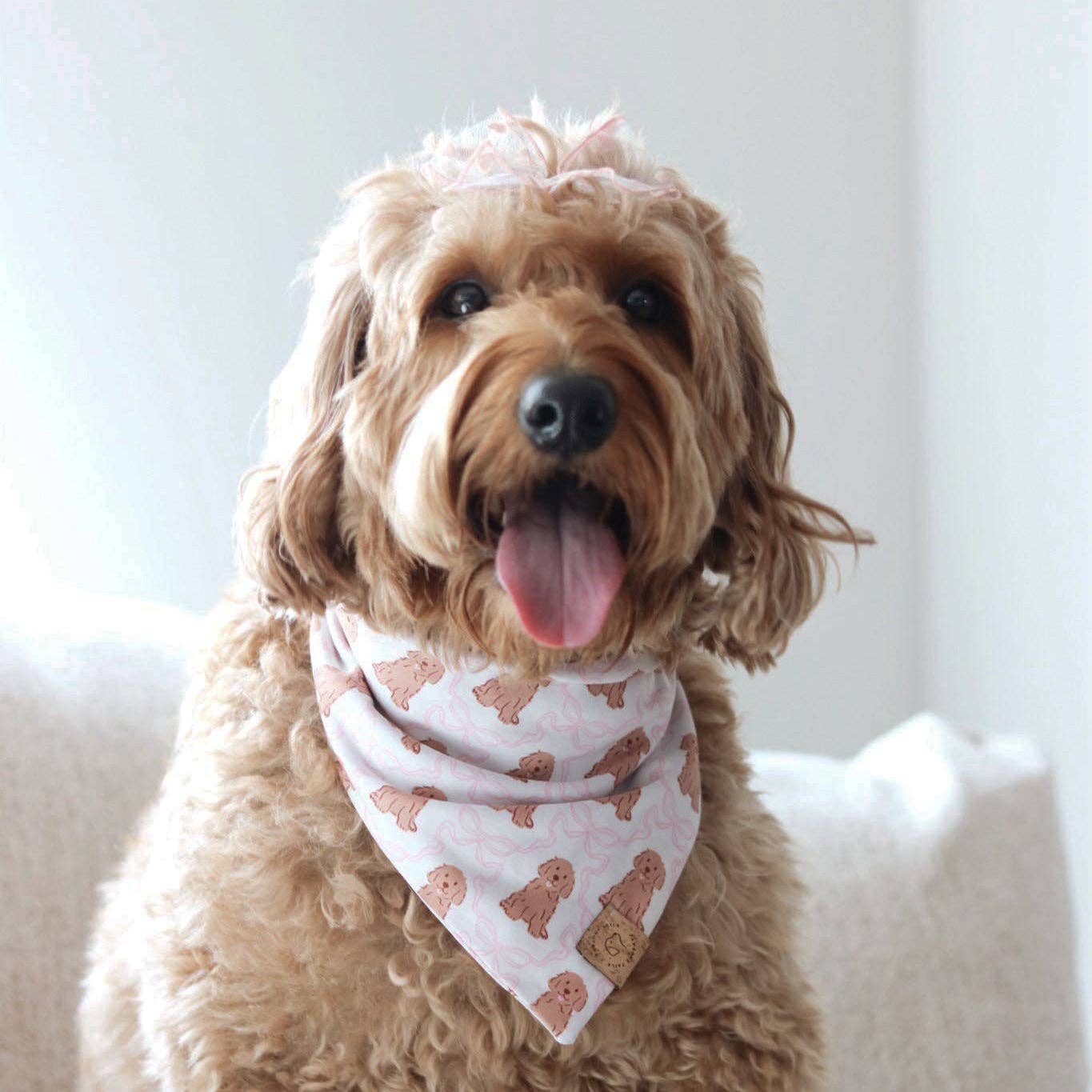 Pawsome Tails Pretty Pink Doodle Bandana