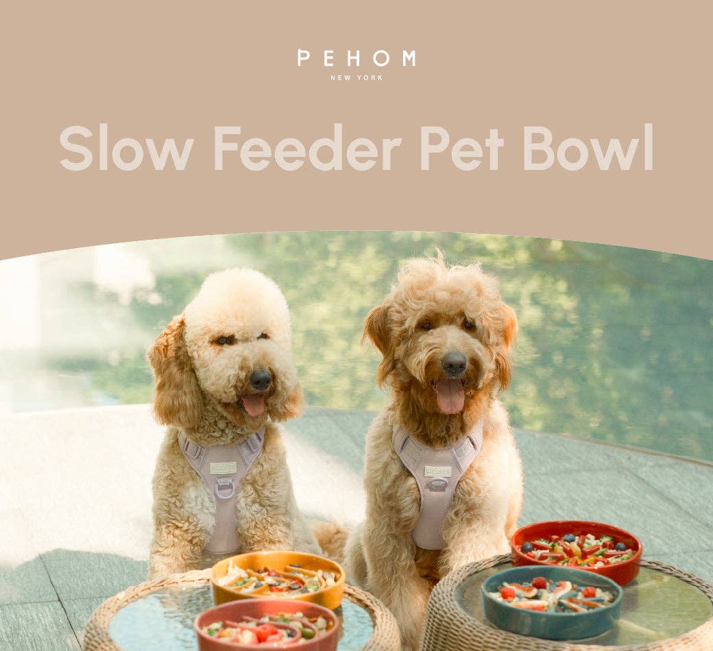 Pehom Wave Slow Feeder Dog Bowls - Beige