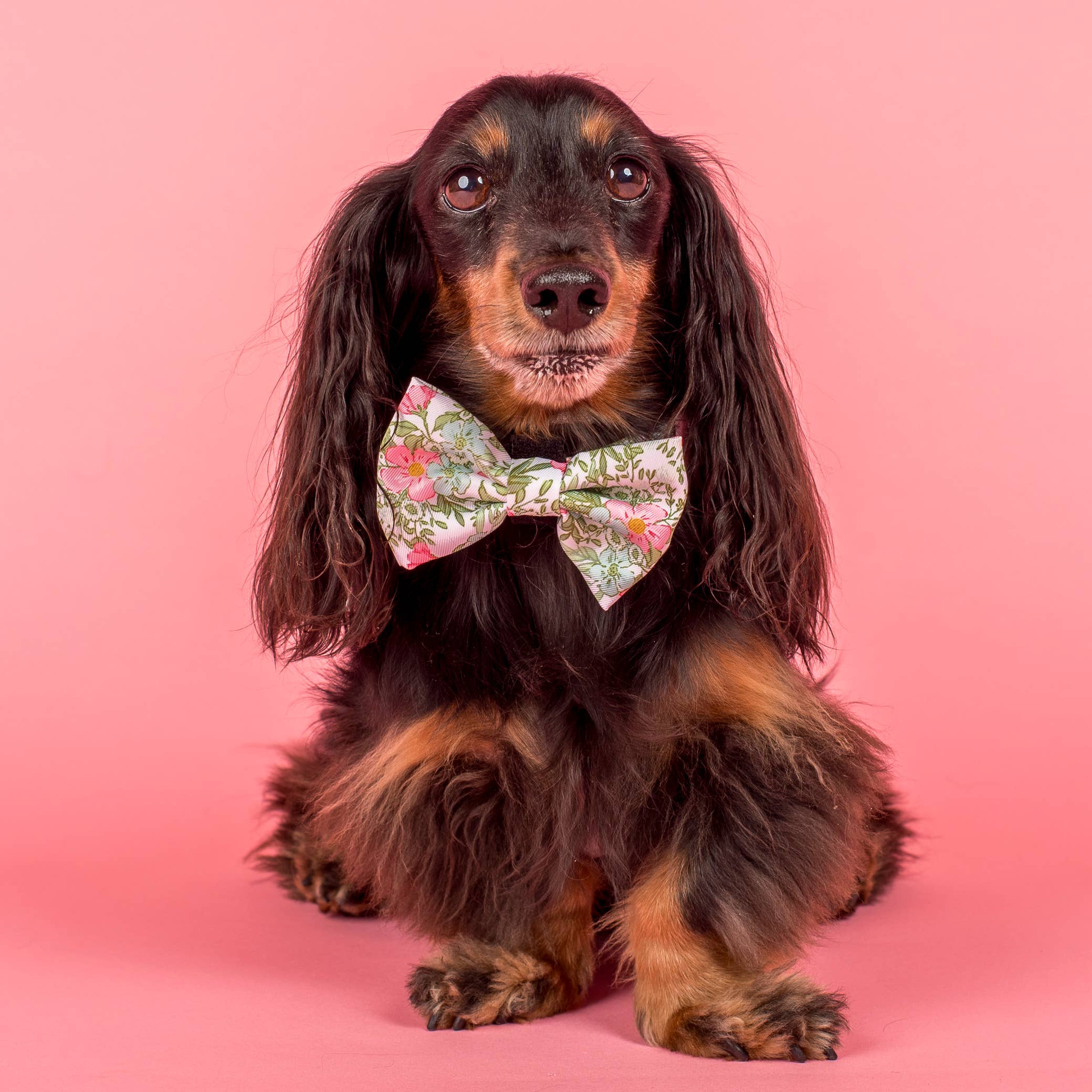 Pablo & Co Flora & Fern Bow Dog Tie