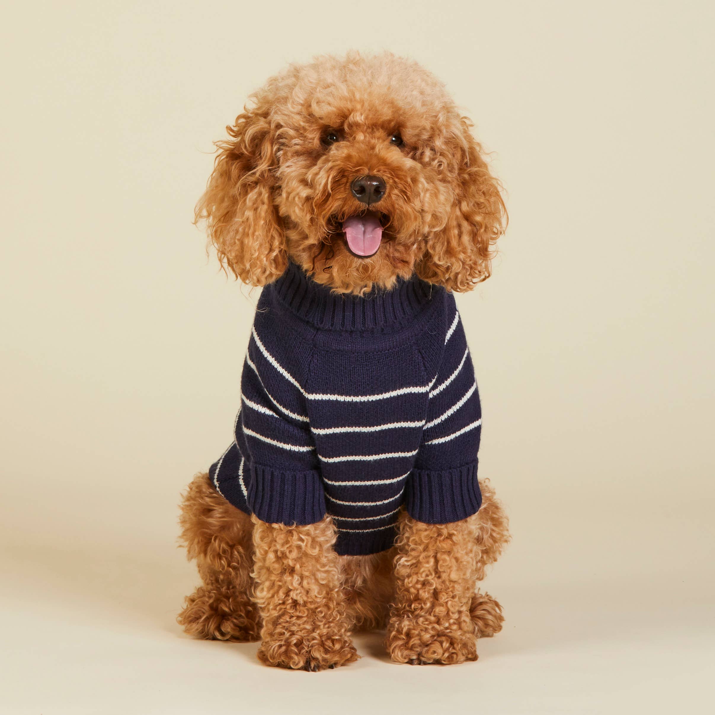 The Foggy Dog x Draper James Mariner Stripe Dog Sweater