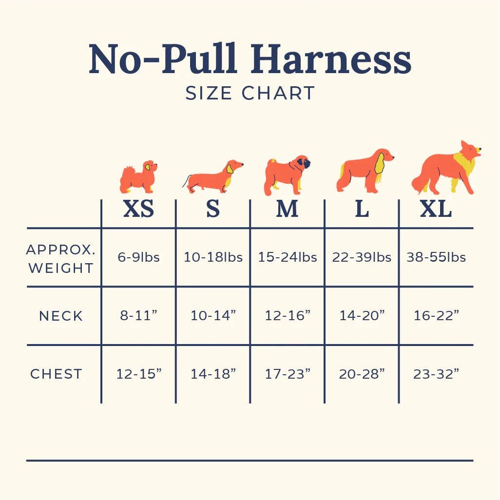 Lucy & Co. Checkers No-Pull Harness