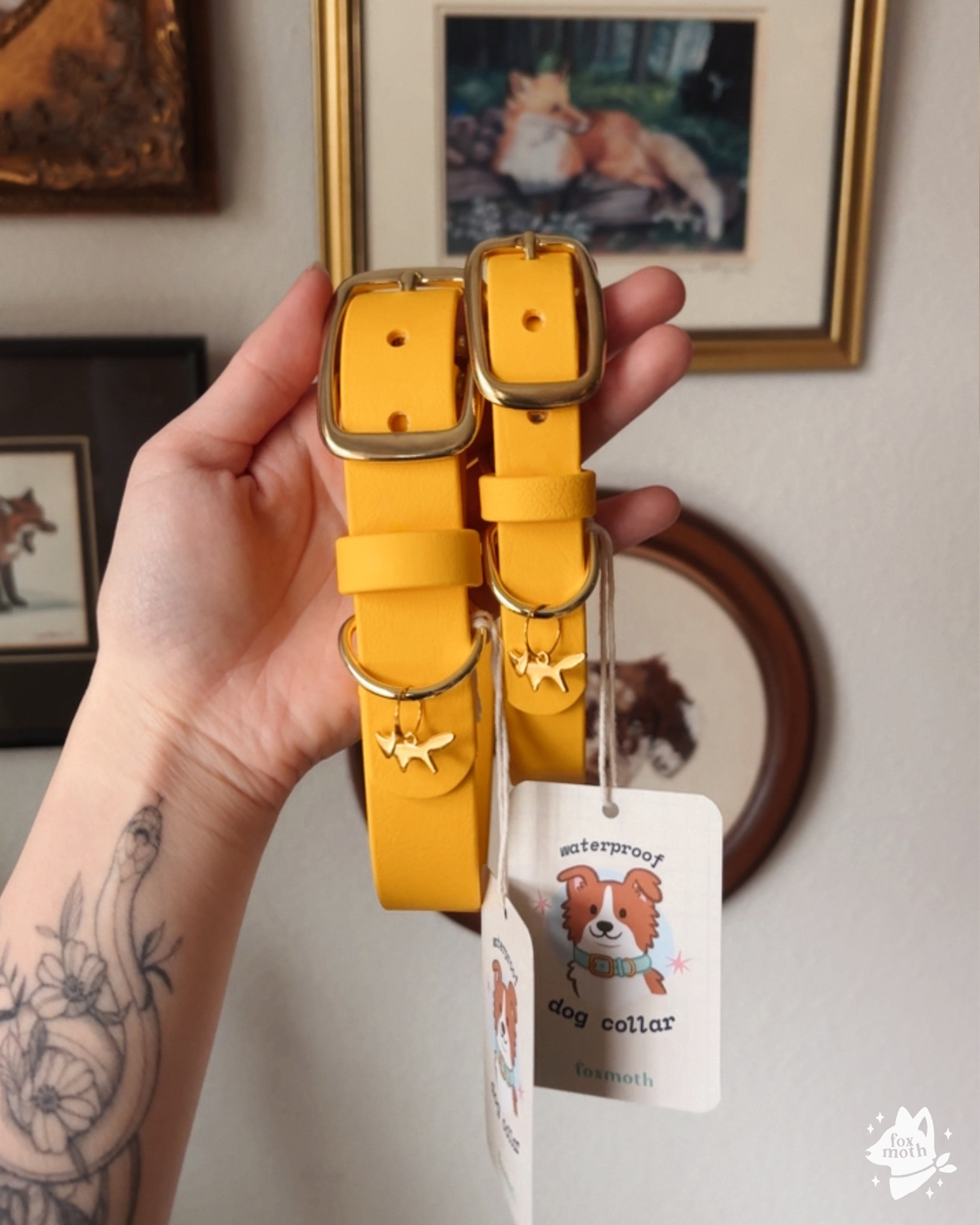 Foxmoth Waterproof Biothane Collar