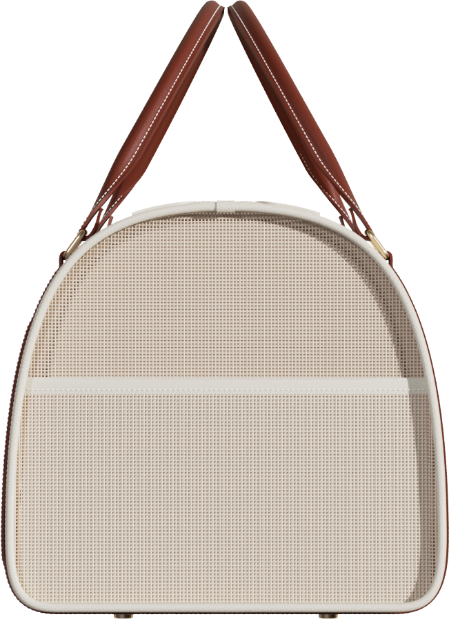 Voocoo Fynn Pet Carrier Hand Carry Style