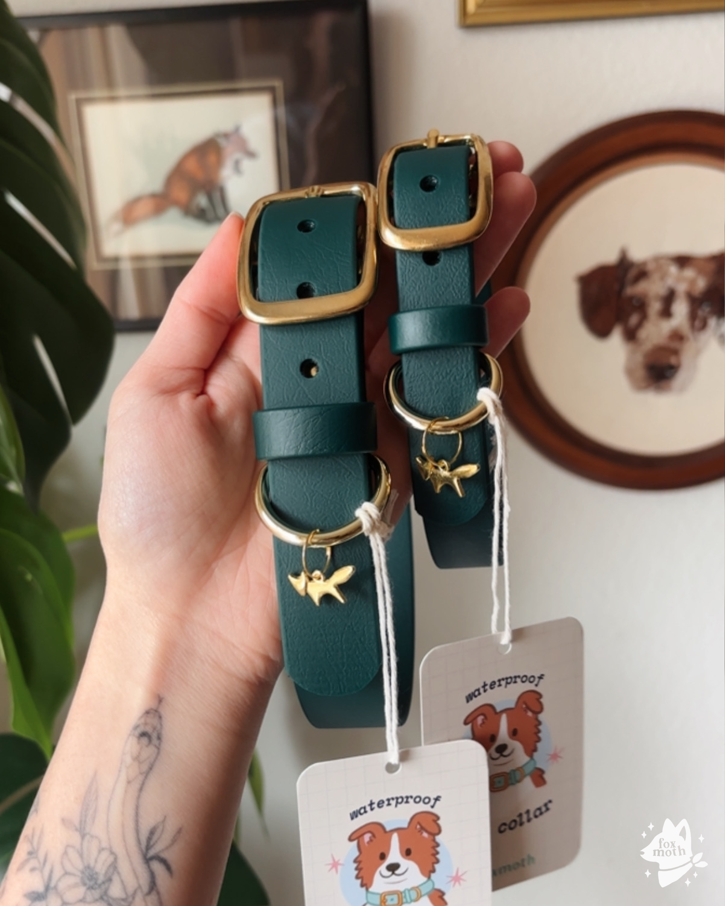 Foxmoth Waterproof Biothane Collar