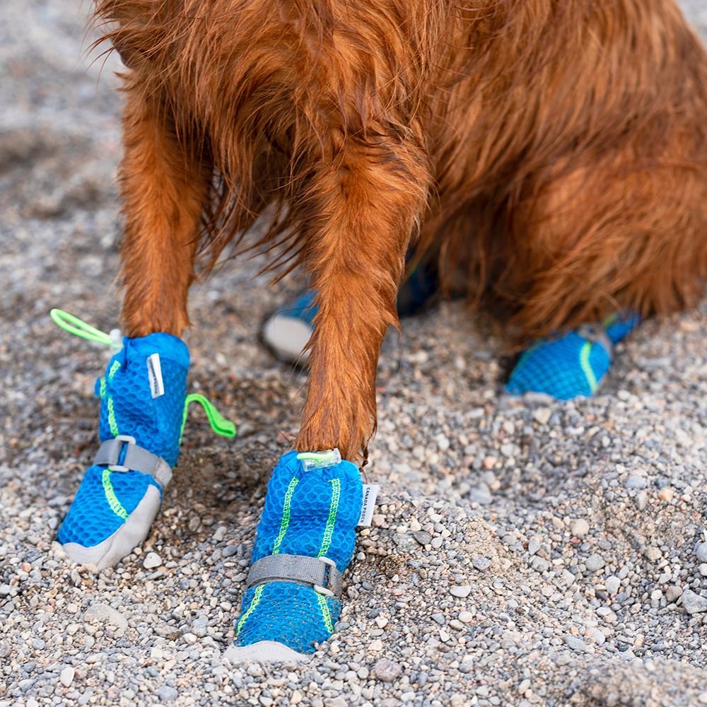 Canada Pooch Hot Pavement Boots