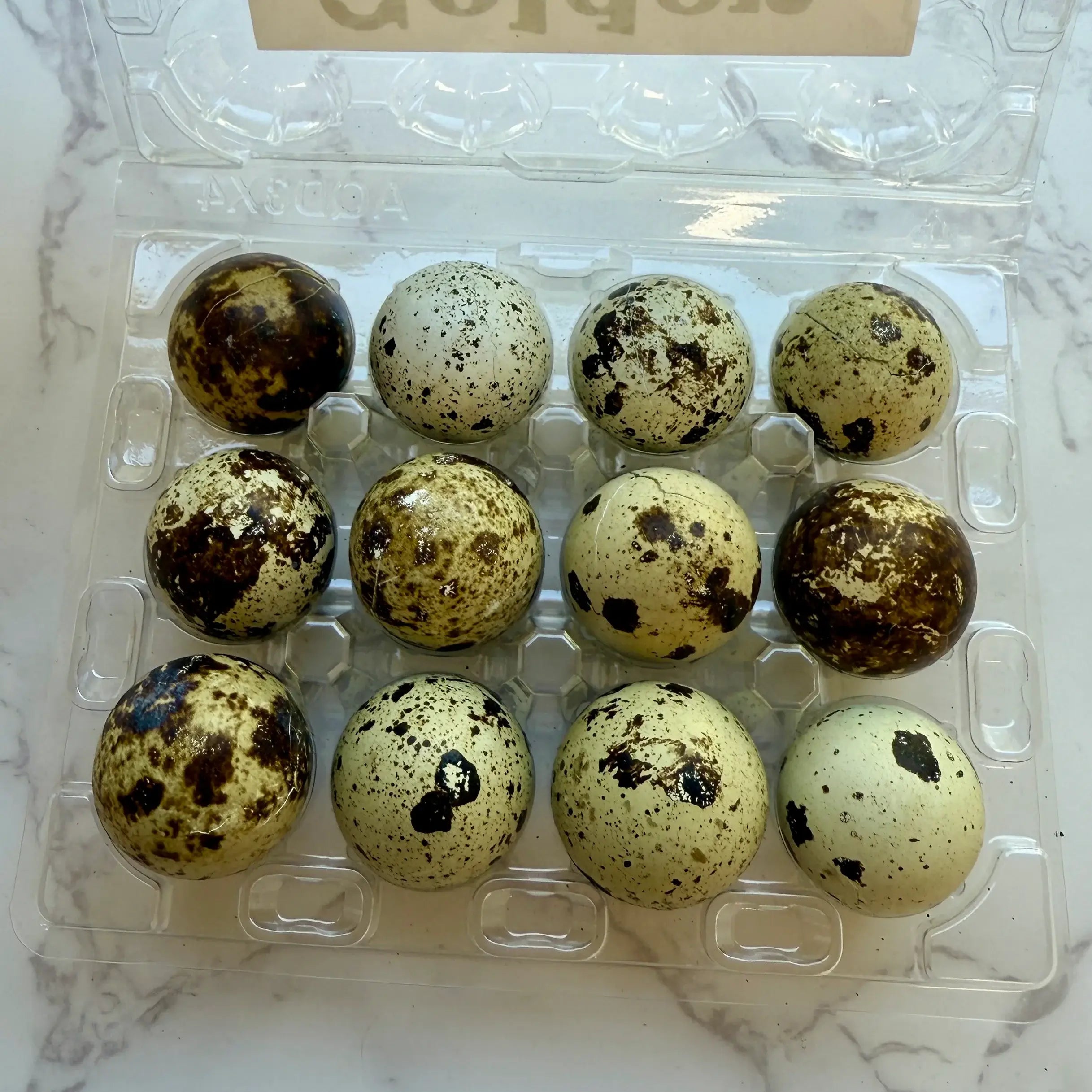 Golden Nibbles Quail Eggs - Dozen Freeze Dried - Dogs & Cat
