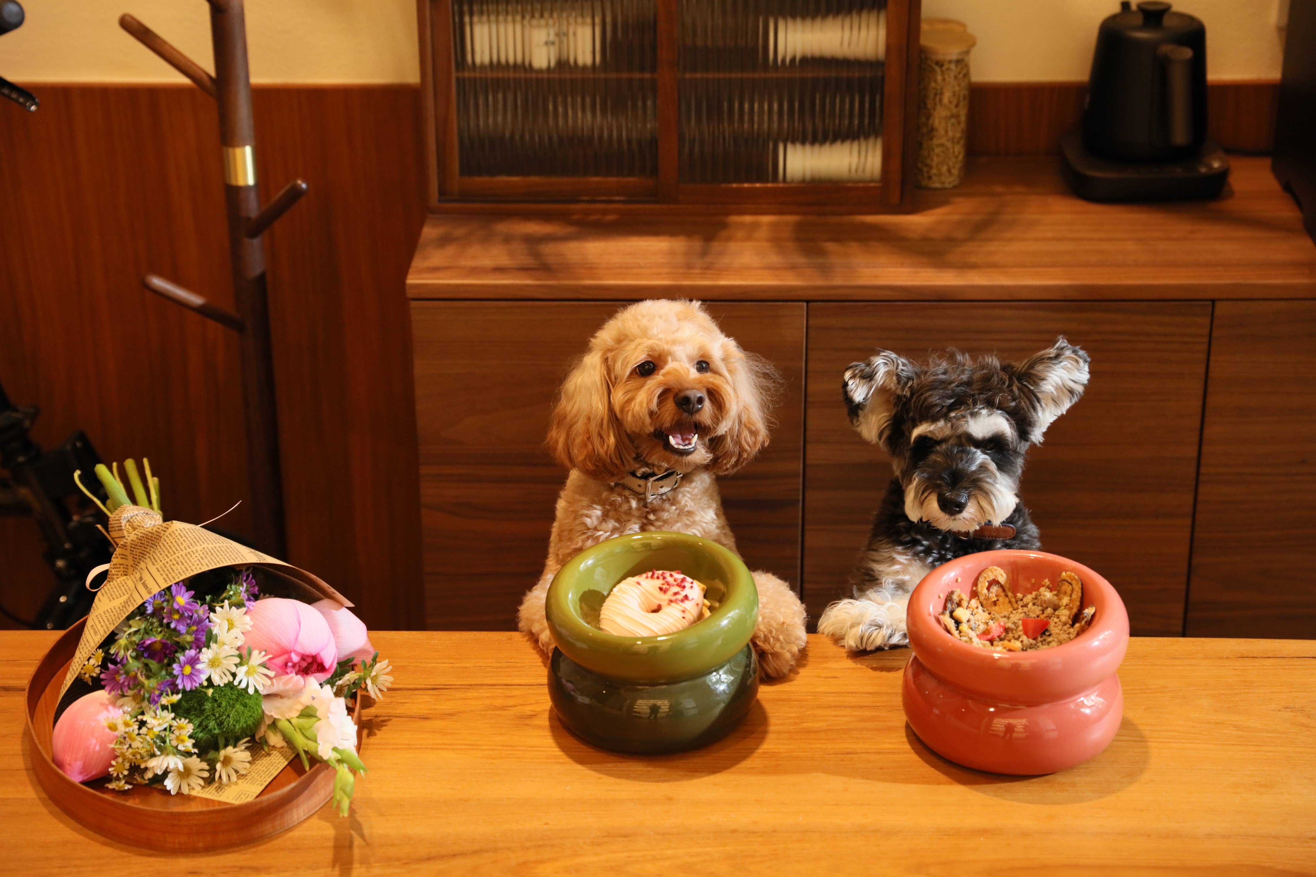 Pehom Soufflé Pet Bowl - Amber Orange