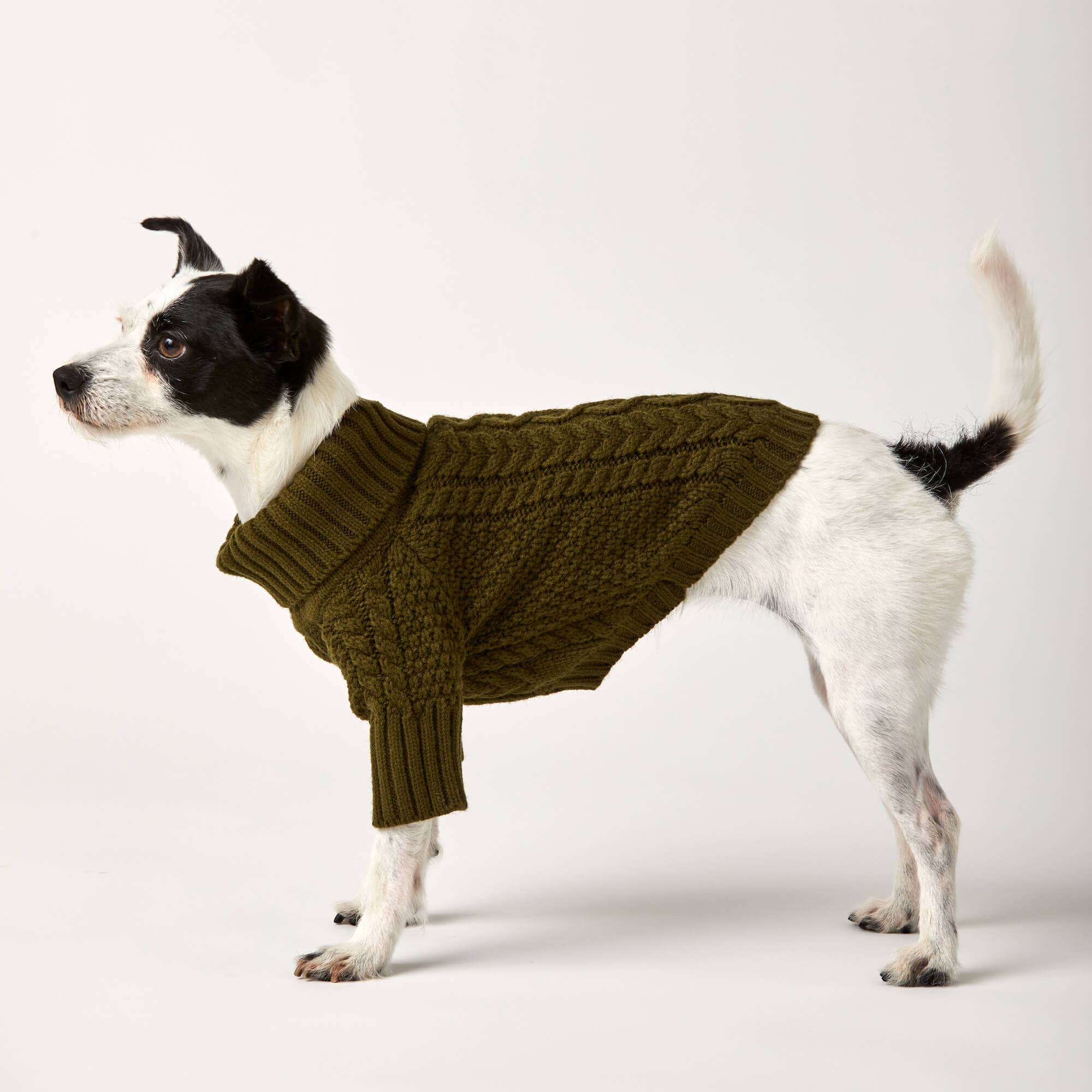 The Foggy Dog Olive Cable Knit Dog Sweater