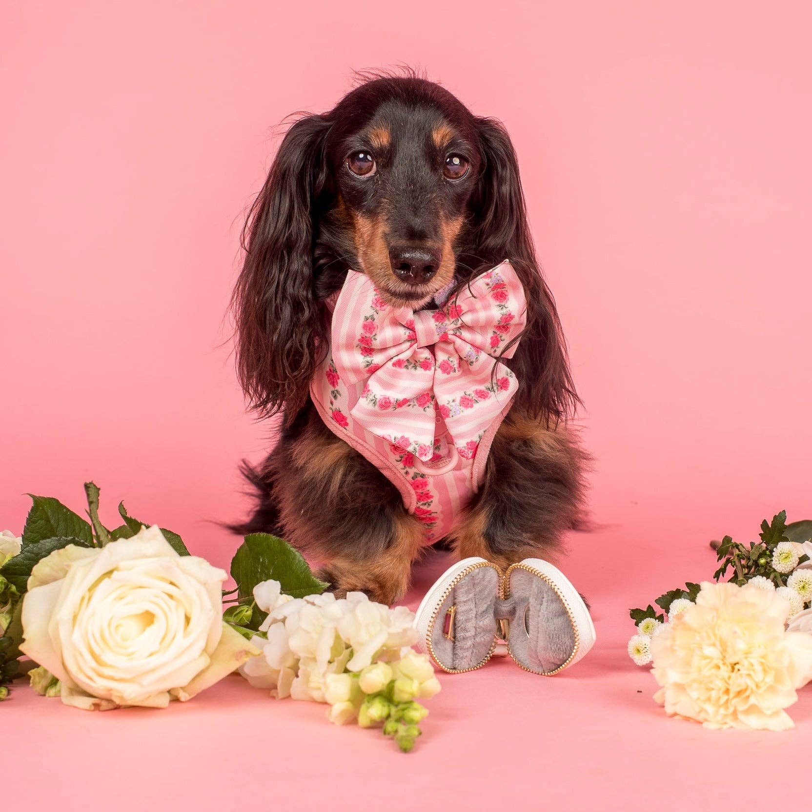 Pablo & Co Vintage Rose Sailor Bow
