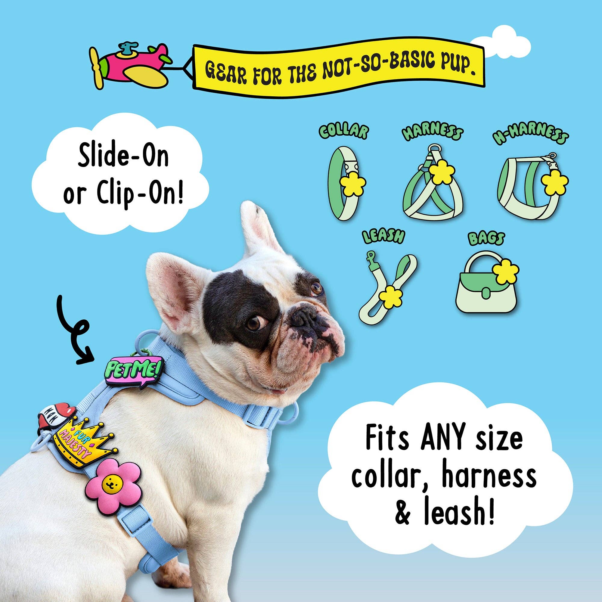 Birthday Jiby Dog Charm