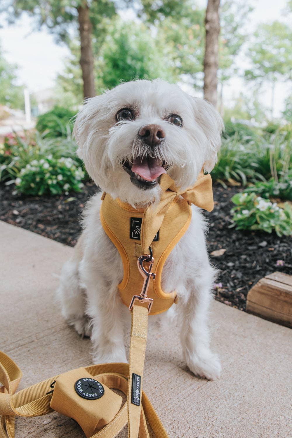 Sassy Woof Sailor Bow - Sunflower Fields