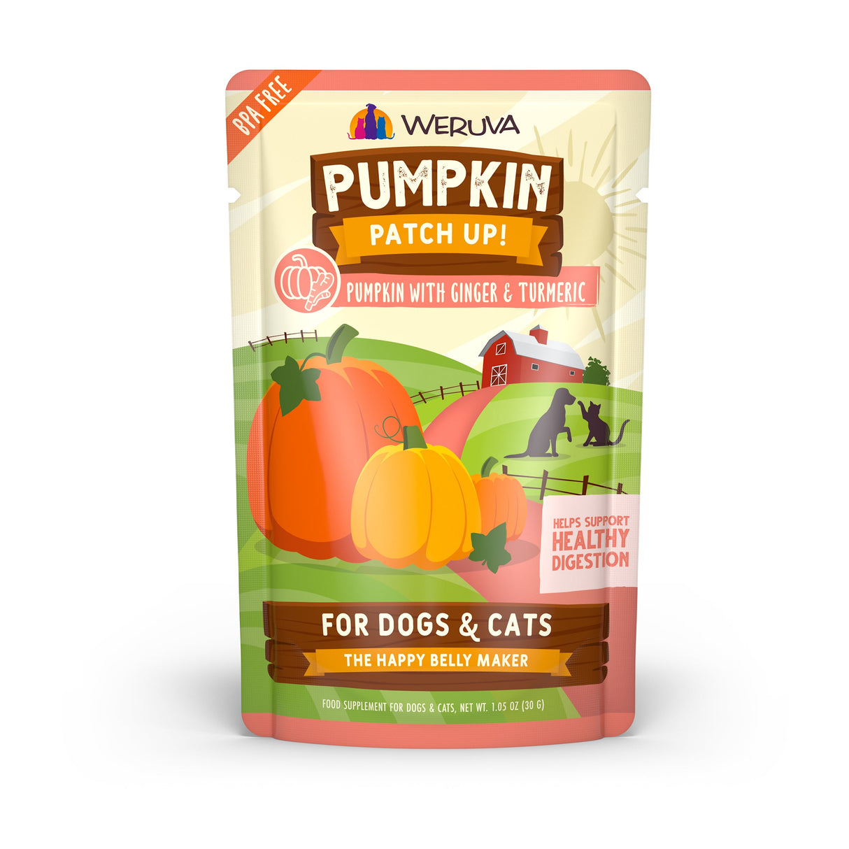 Weruva Dog Cat Pumpkin with Ginger & Turmeric 2.8oz Pouch