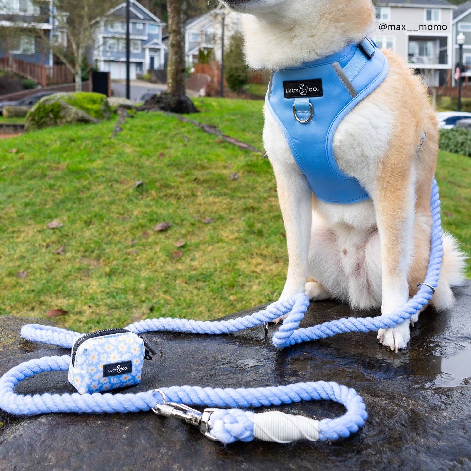 Lucy & Co Simply Splendid Poop Bag Holder