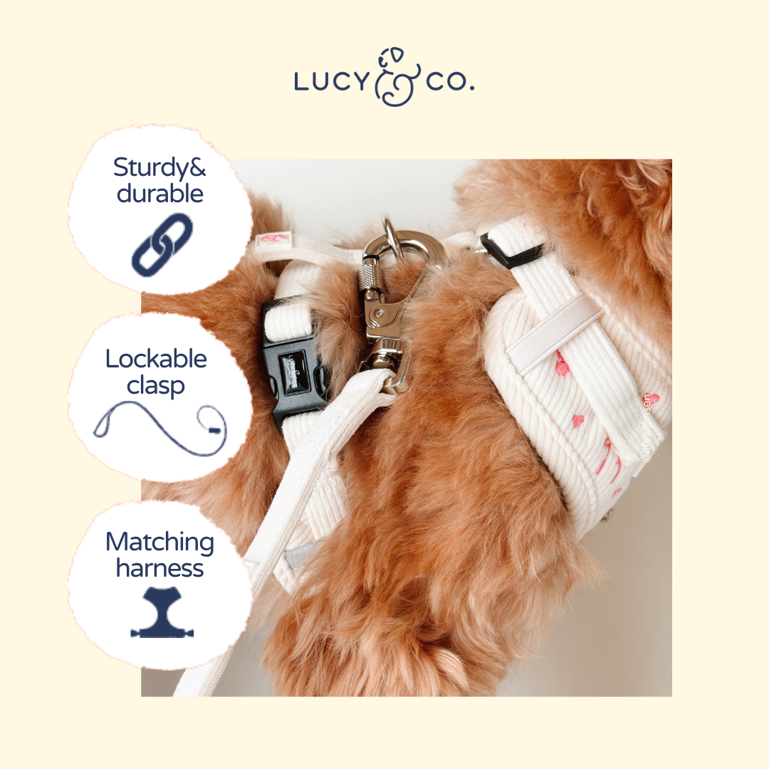 Lucy & Co. Ivory Corduroy Leash