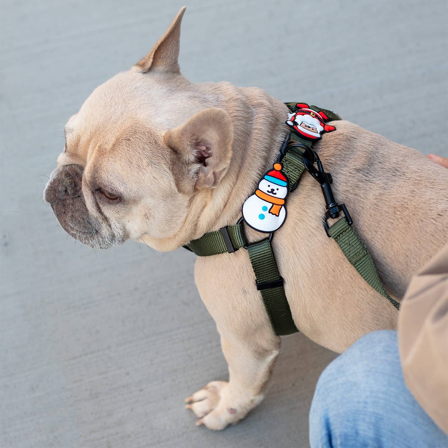 Snowman Dog Jiby