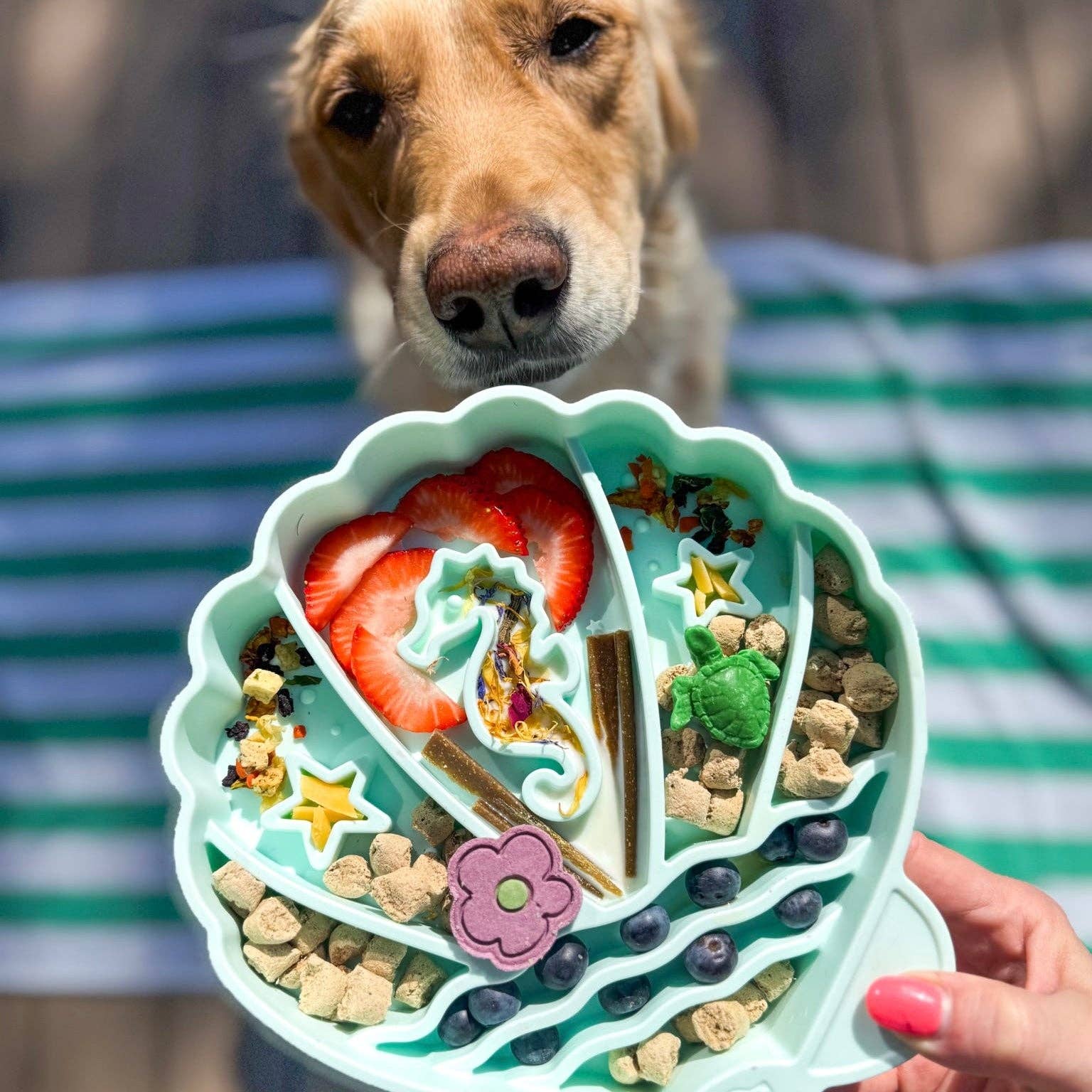Pawsome Tails Seashell Slow Feeder Bowl | Seafoam