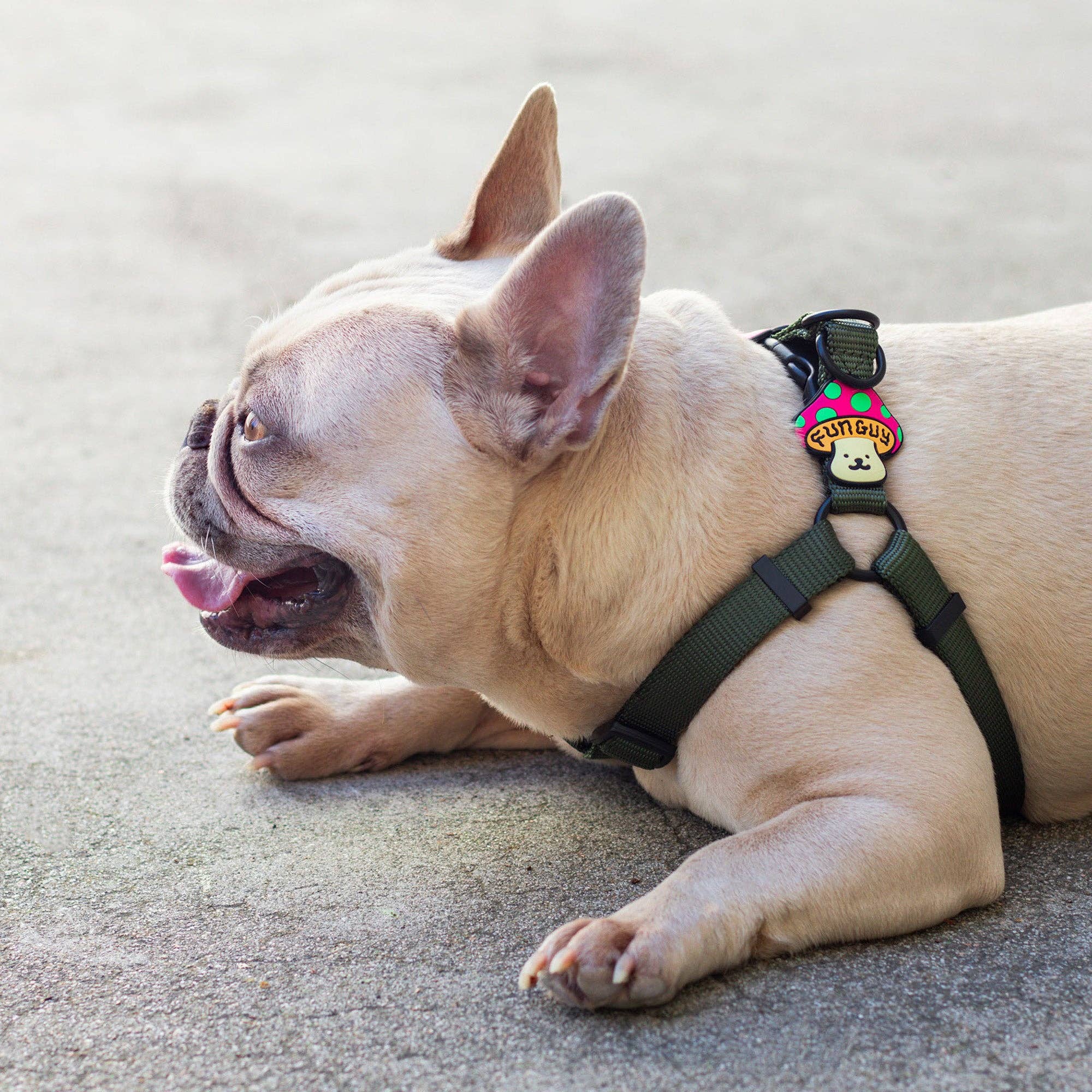 Fun Guy Dog Jiby