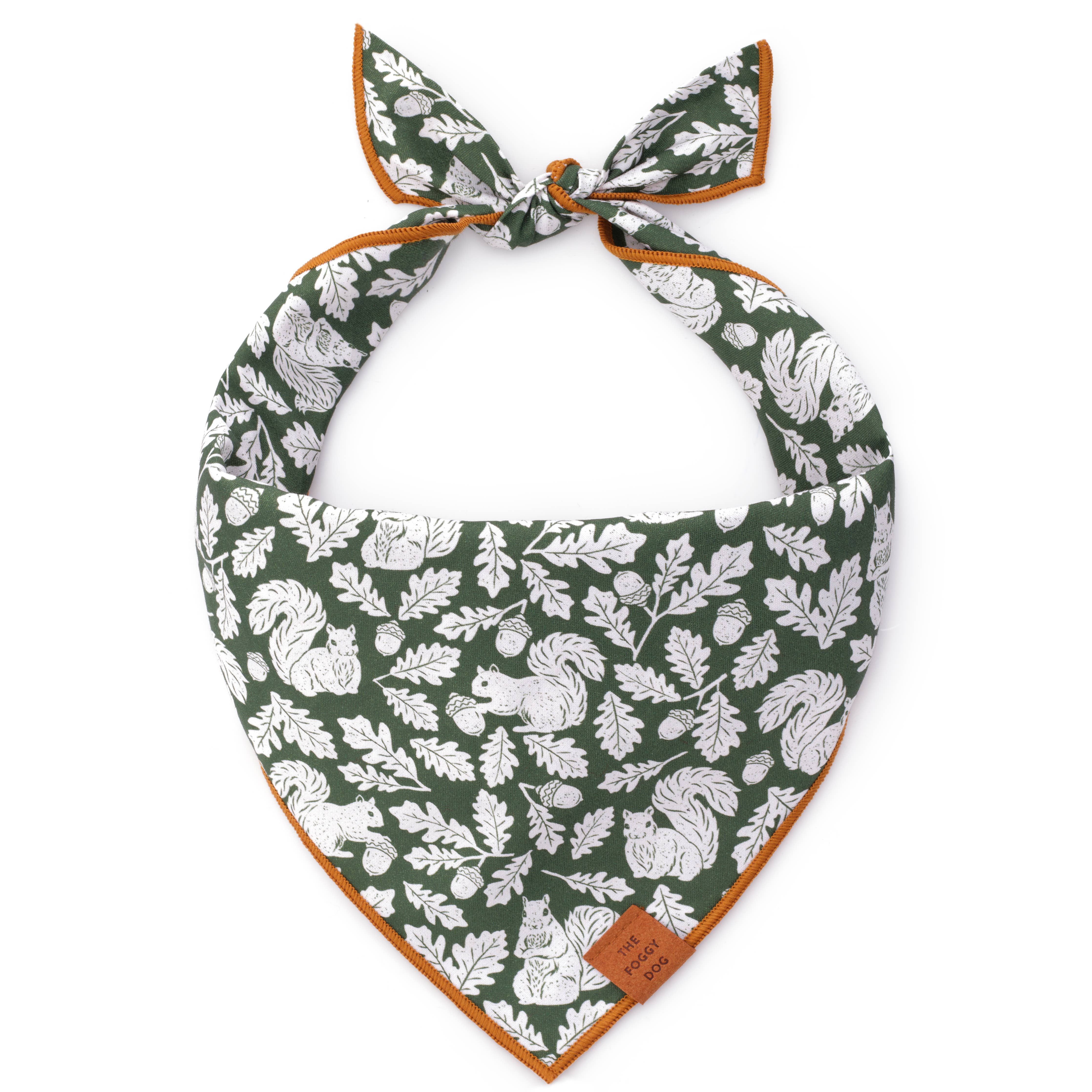 The Foggy Dog Squirrel! Dog Bandana