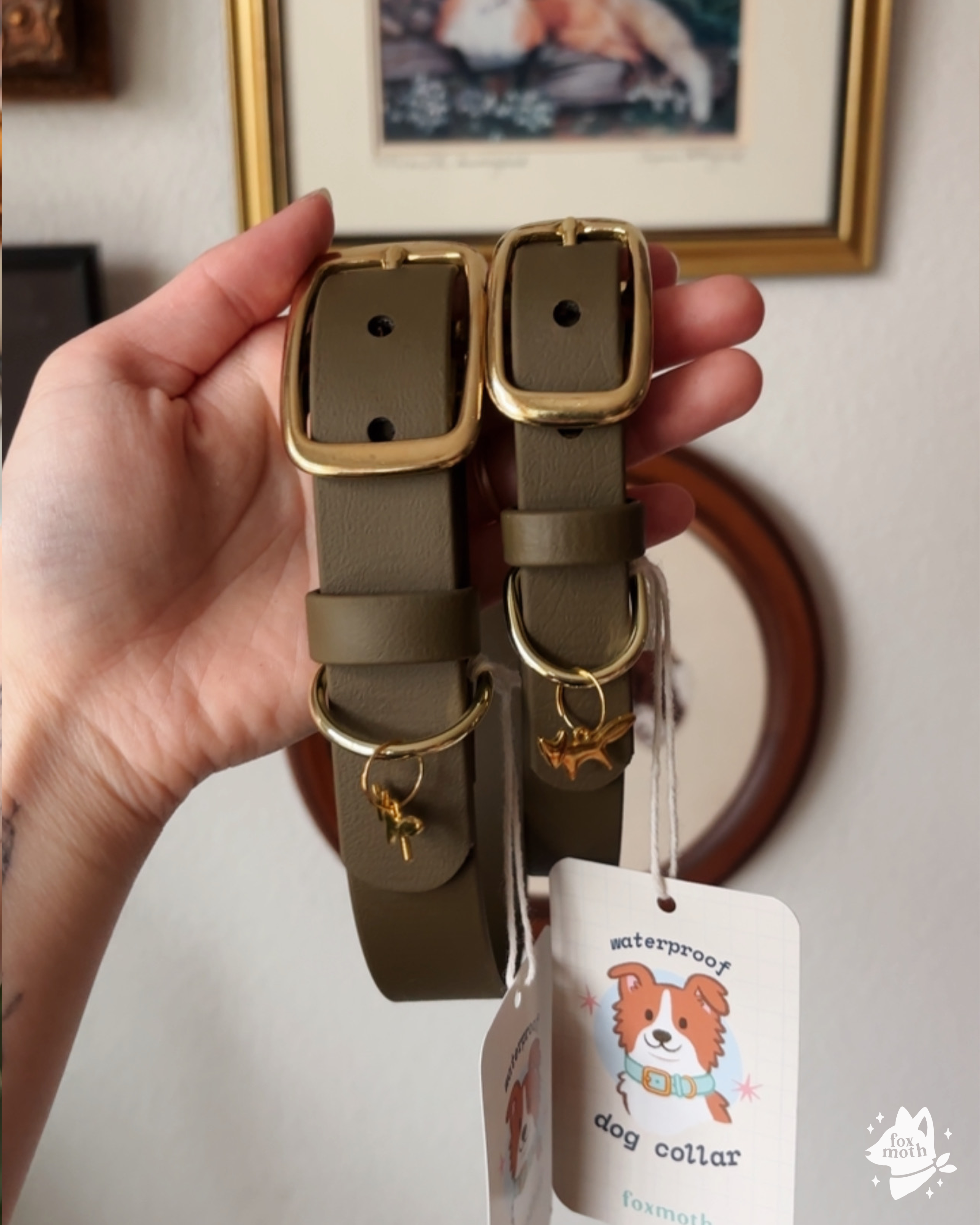 Foxmoth Waterproof Biothane Collar