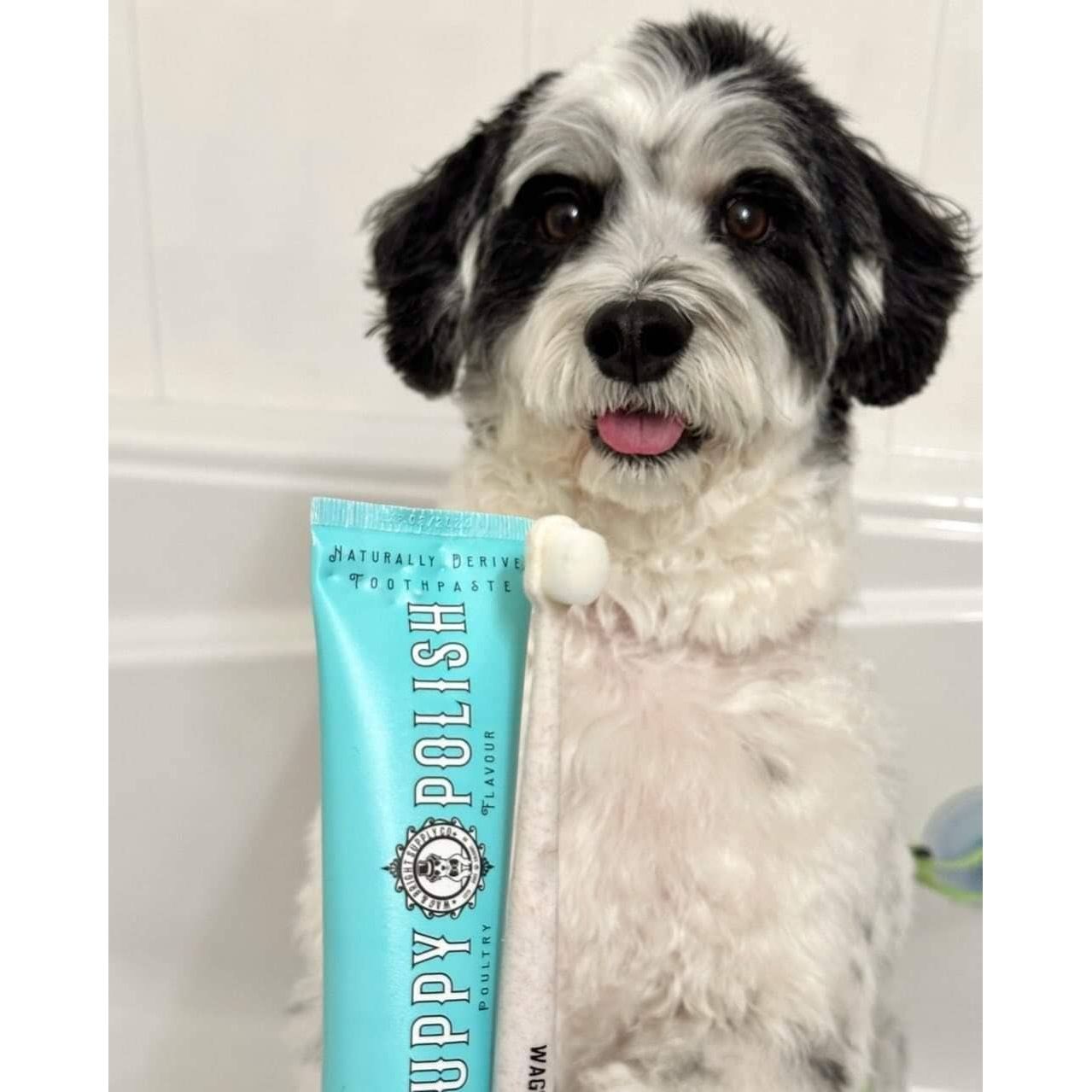 Wag & Bright Puppy Polish Toothpaste