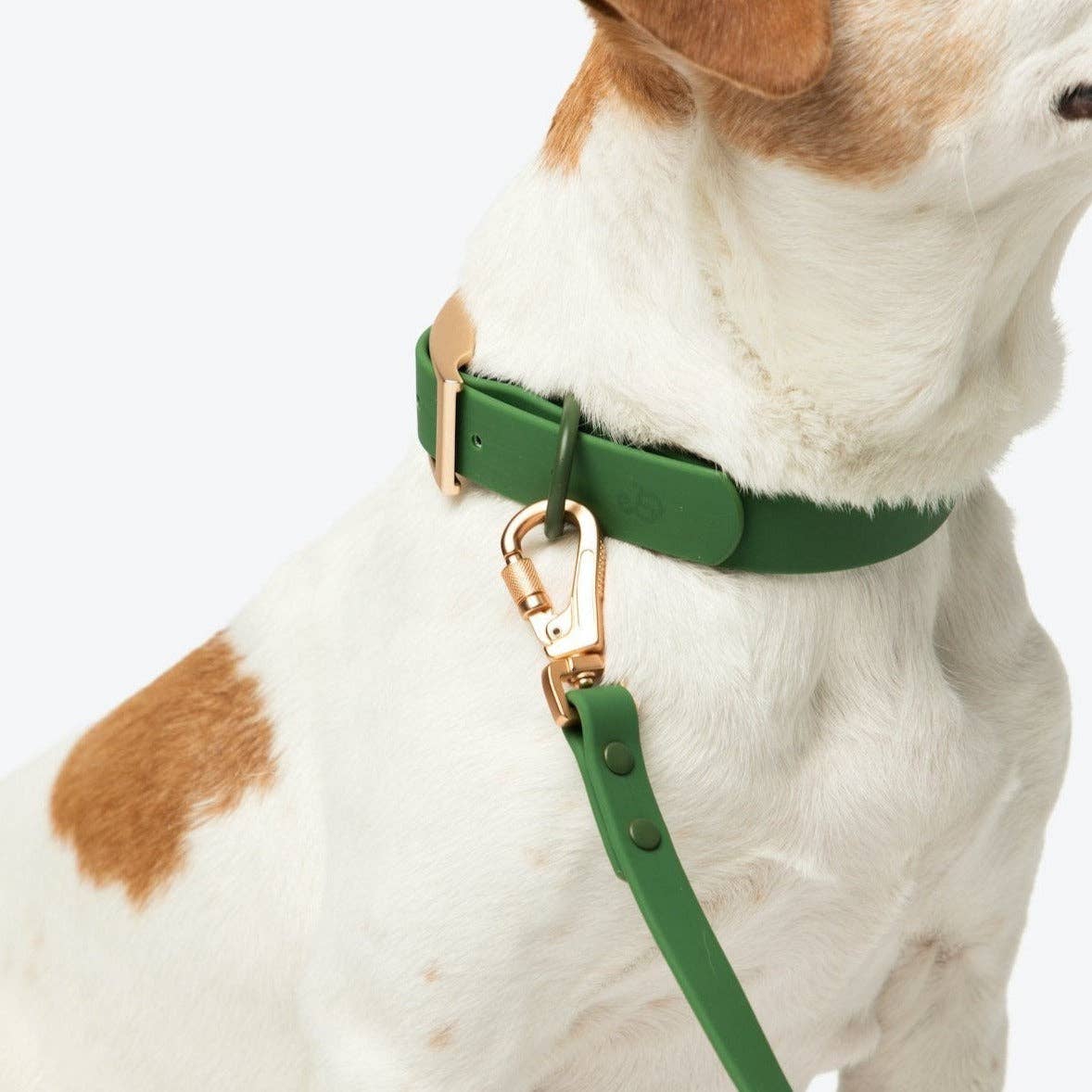 Lucy & Co. Pine Everyday Leash