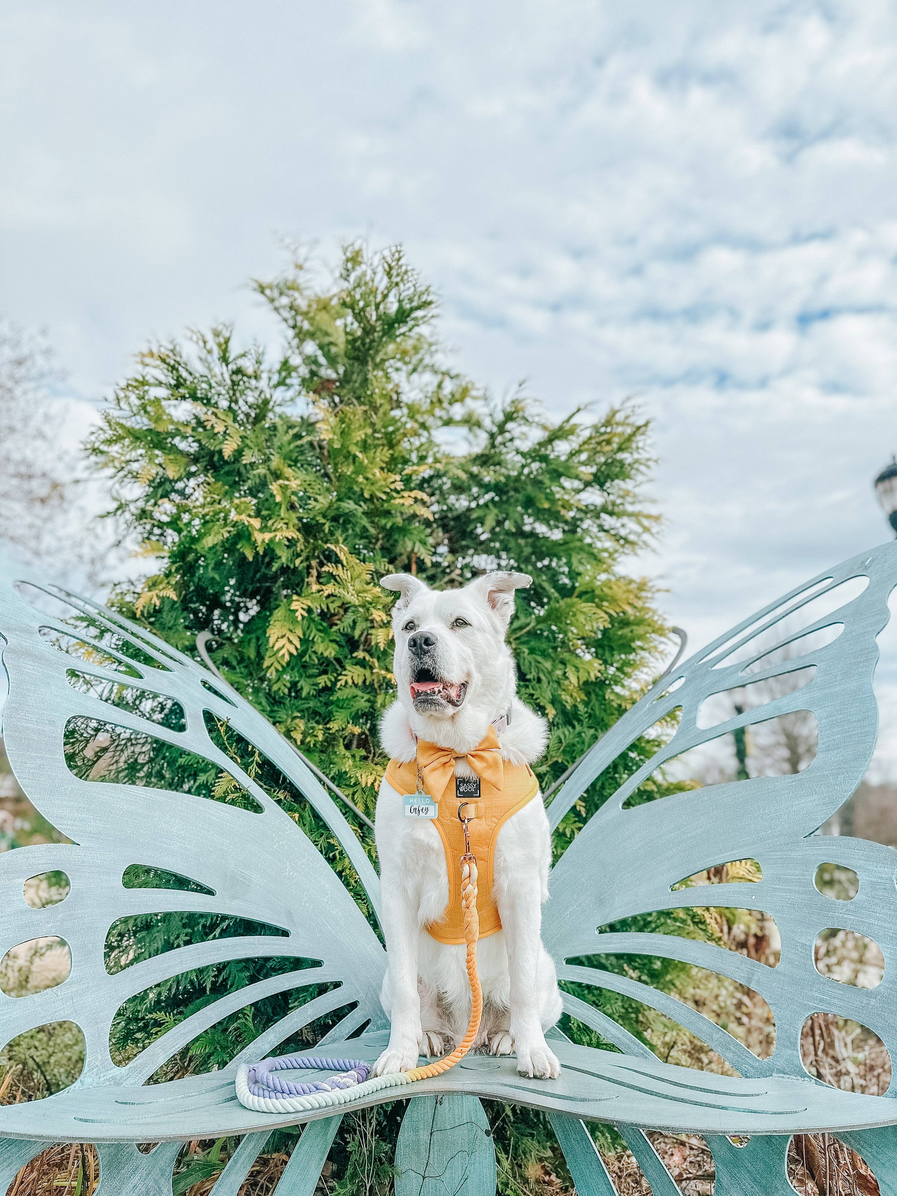 Sassy Woof Sailor Bow - Sunflower Fields