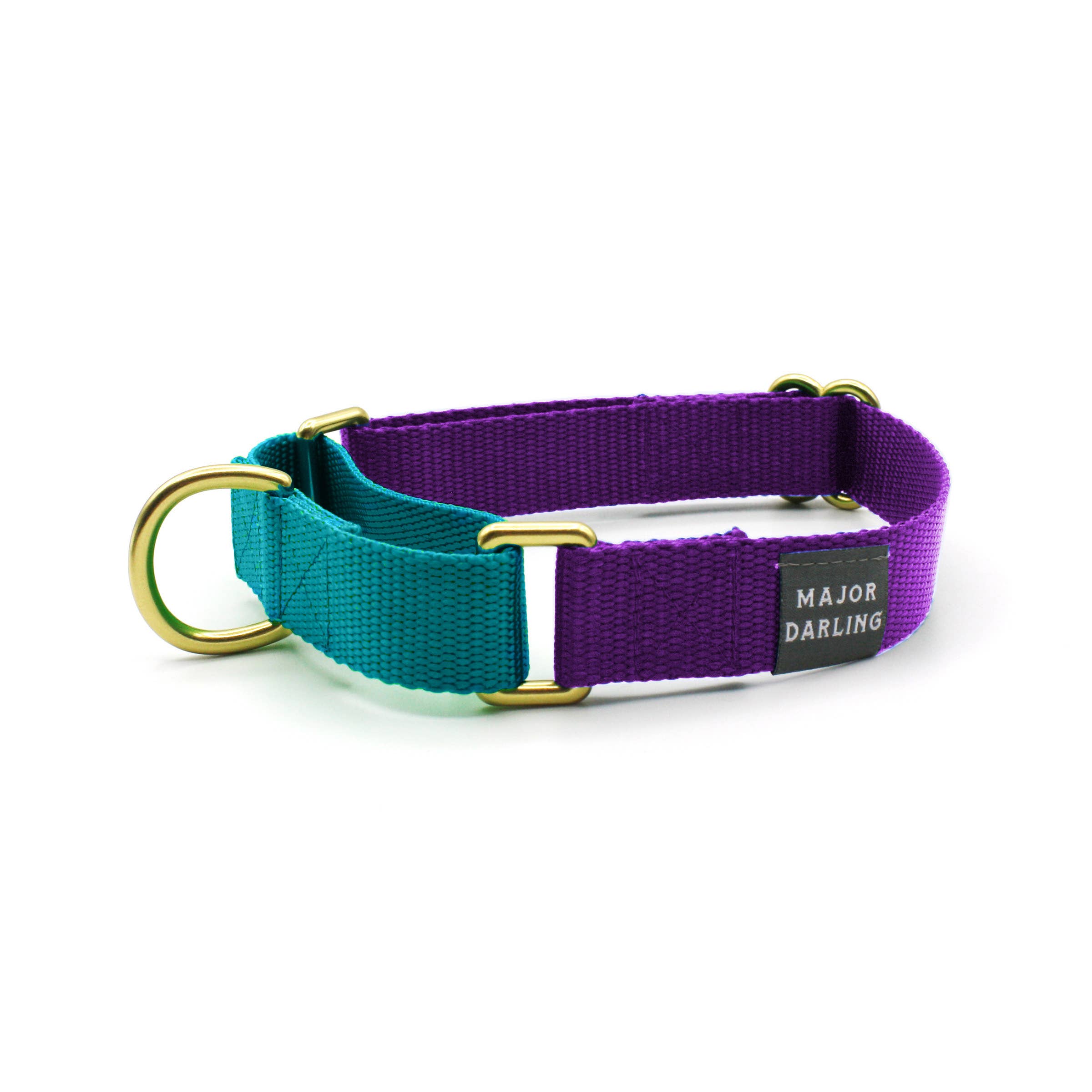 Major Darling Violet with Teal Martingale Collar