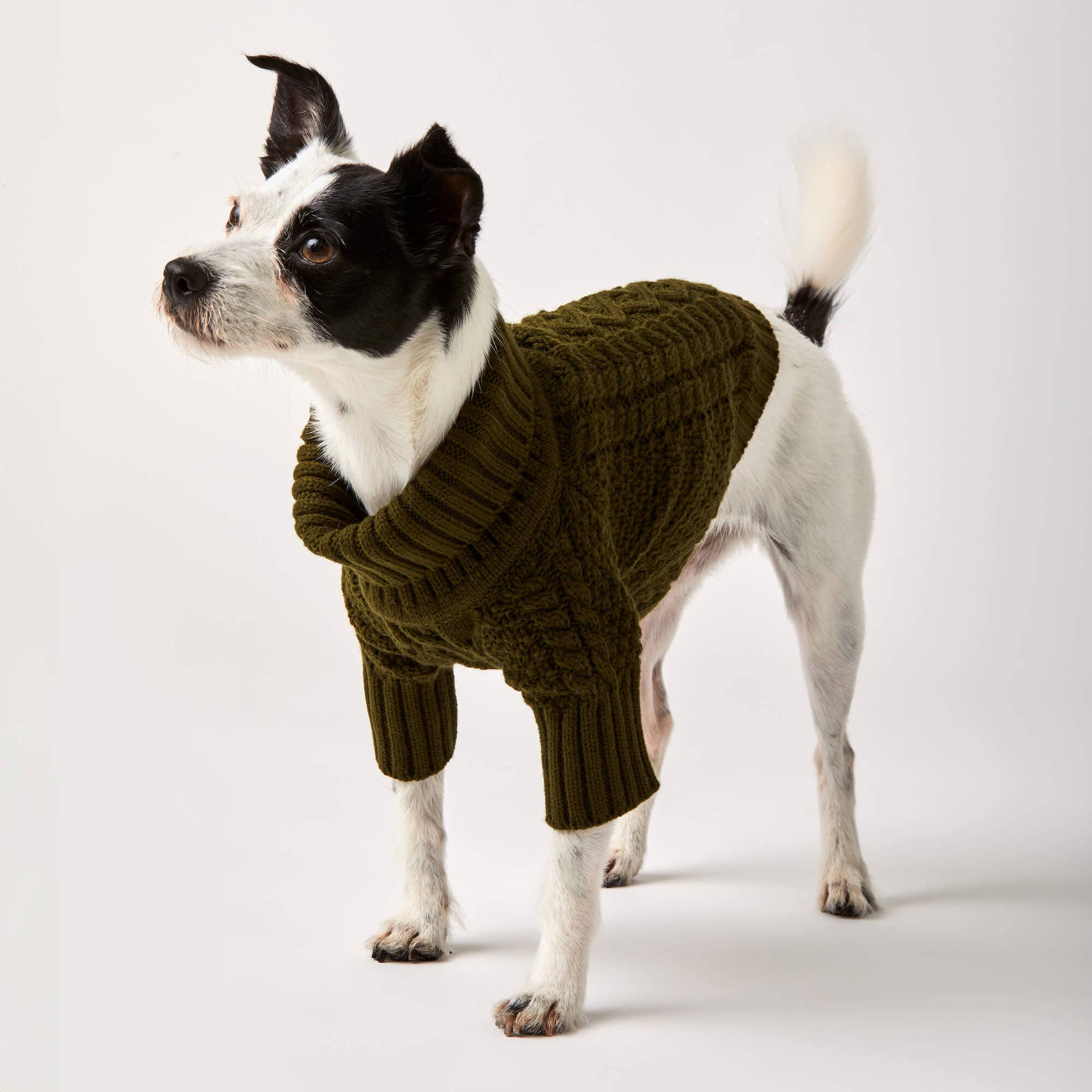 The Foggy Dog Olive Cable Knit Dog Sweater