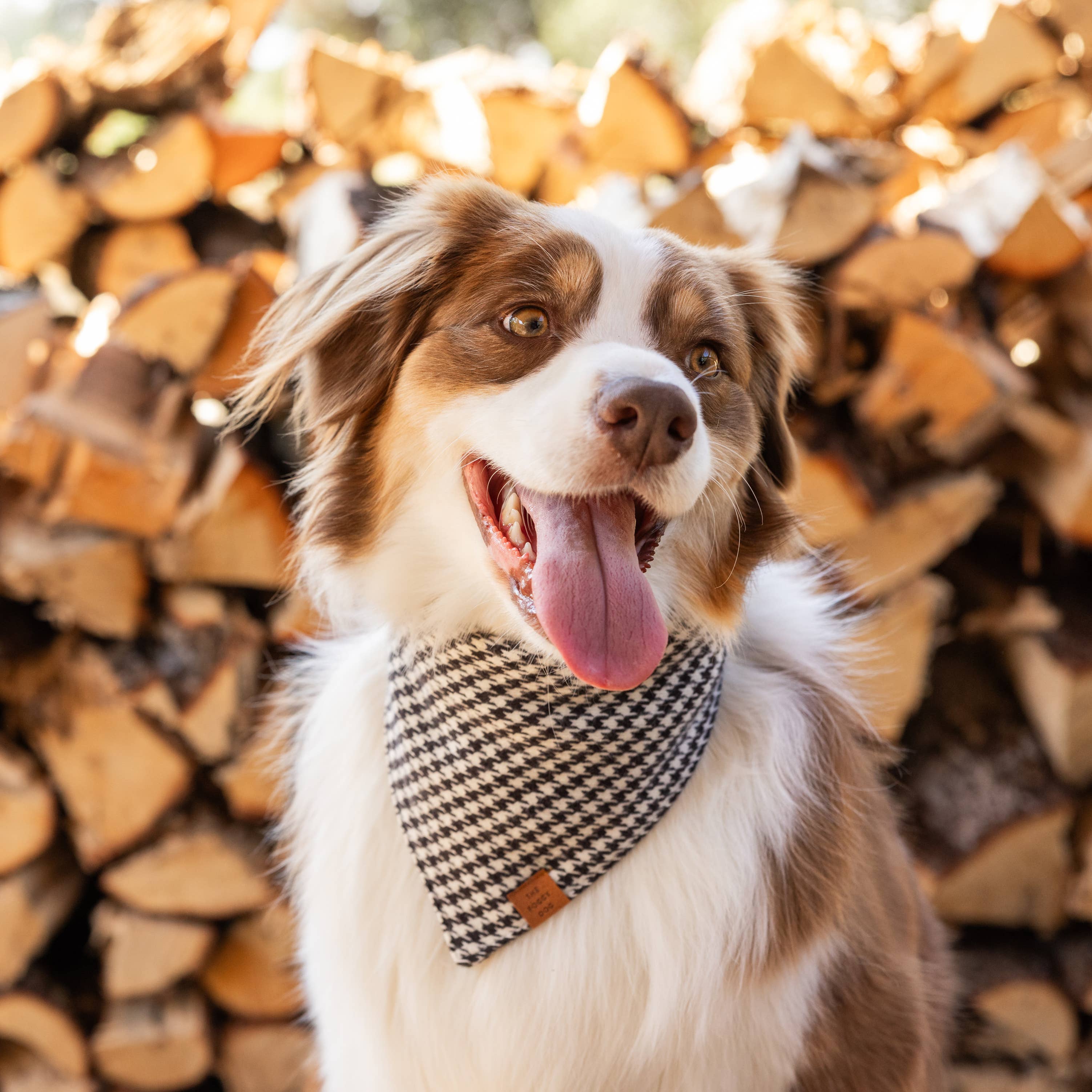 The Foggy Dog Houndstooth Flannel Fall Dog Bandana