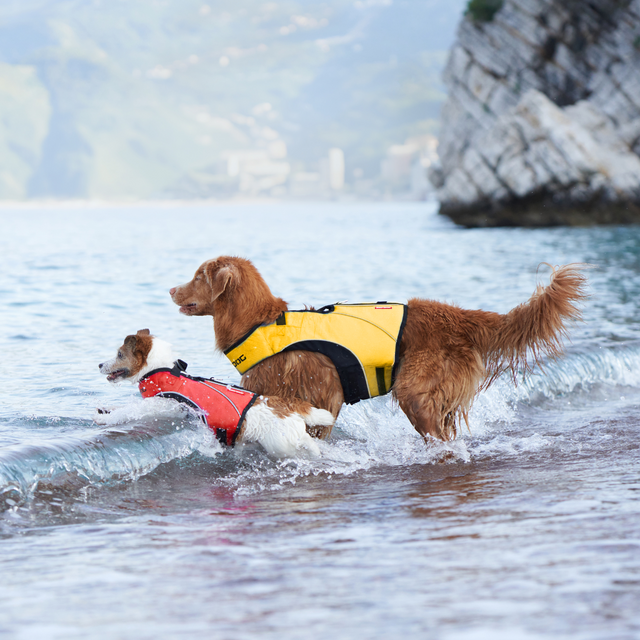 Ezydog DFD X2 Boost Dog Flotation Device