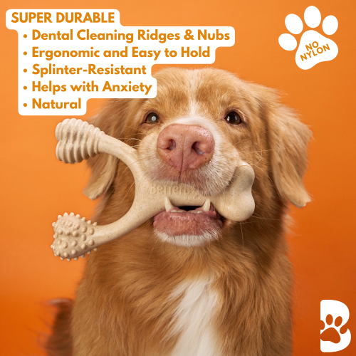 Betterbone Medium Beef Large Chew